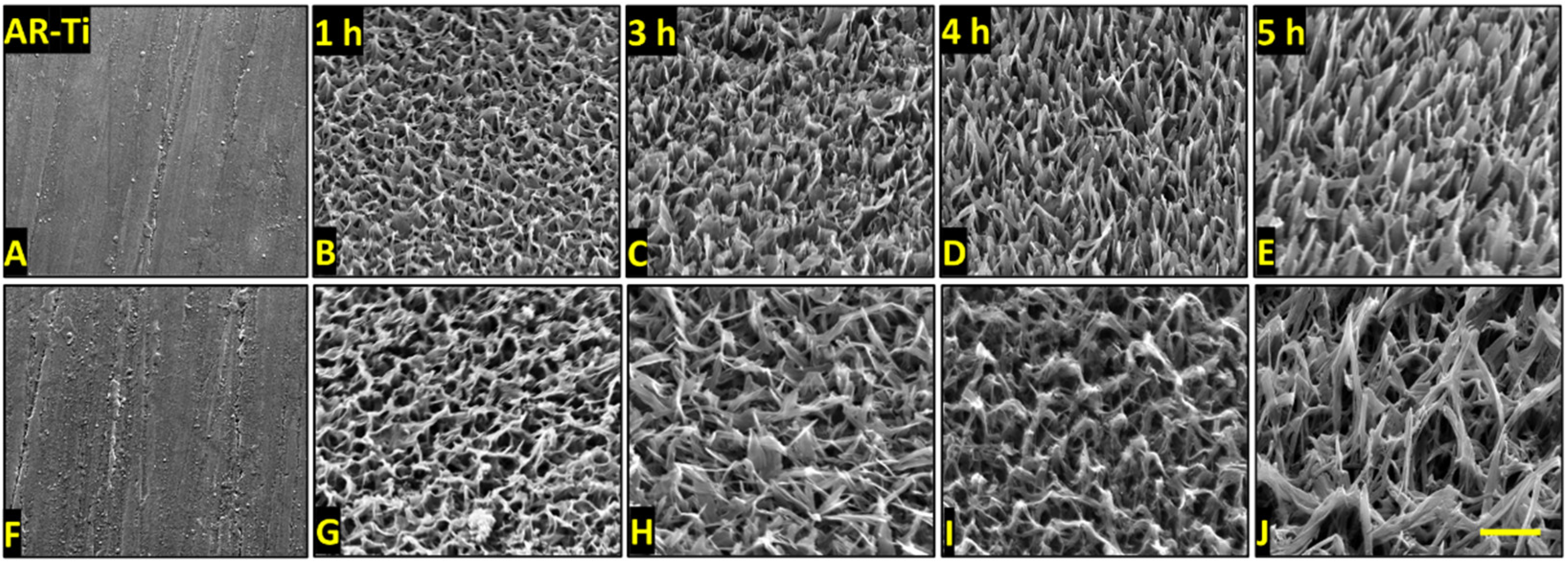 Nanomaterials 12 01140 g001