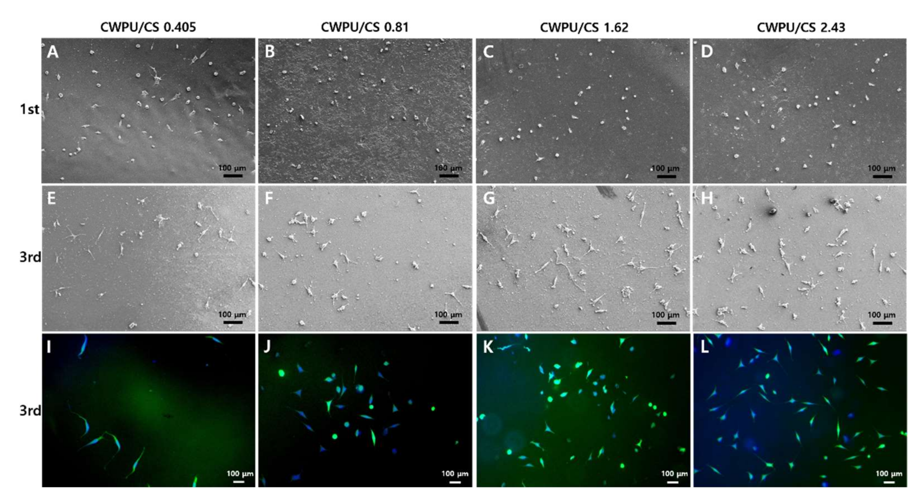 Nanomaterials 12 01143 g007