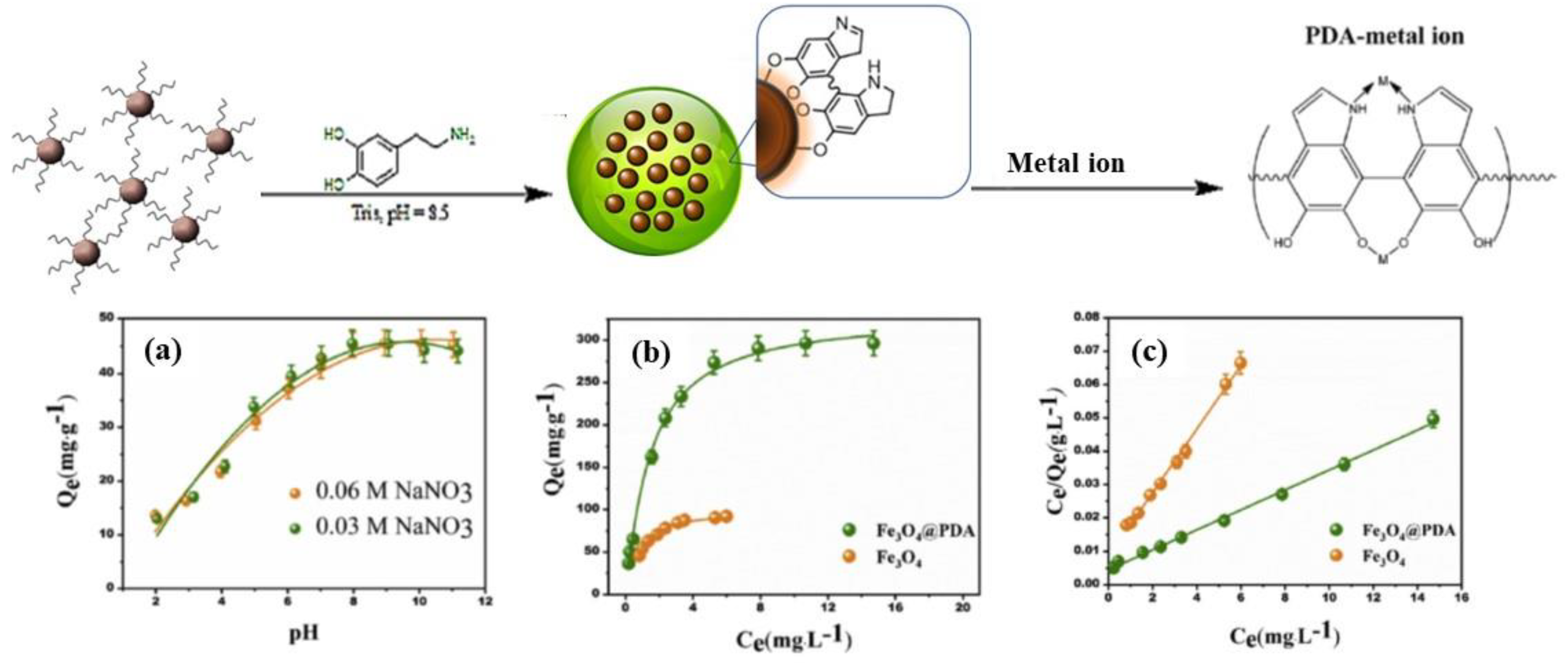 Polydopamine-Coated Magnetic Iron Oxide Nanoparticles: From