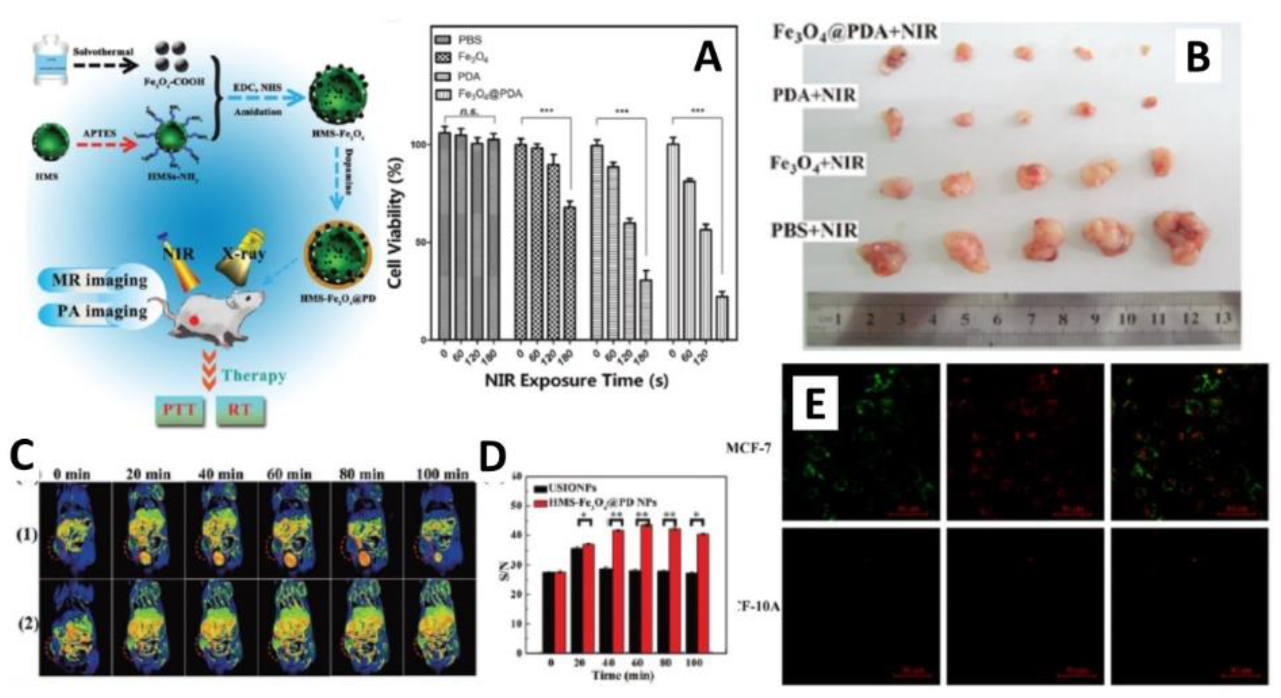 Nanomaterials 12 01145 g004