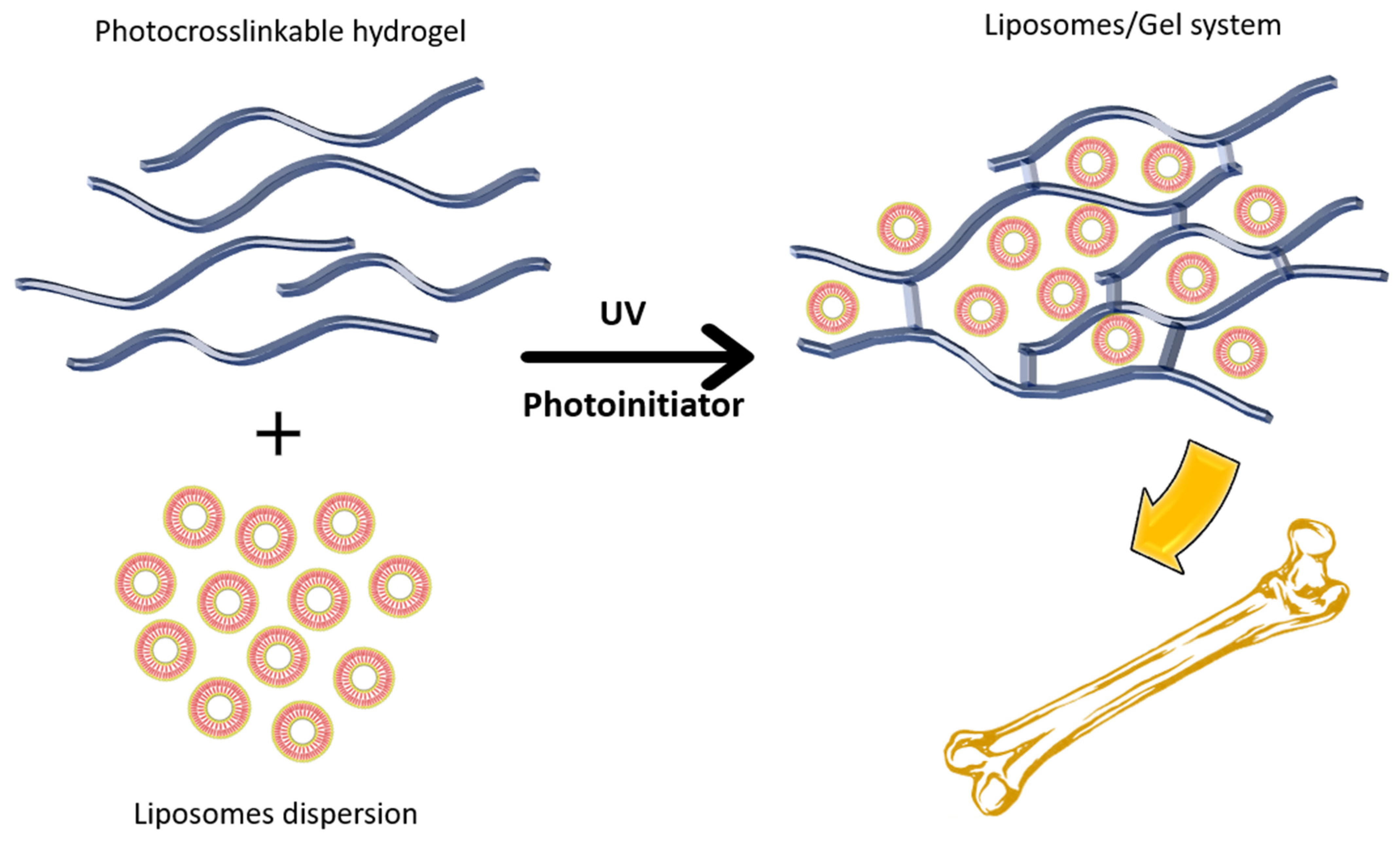 Nanomaterials 12 01146 g006
