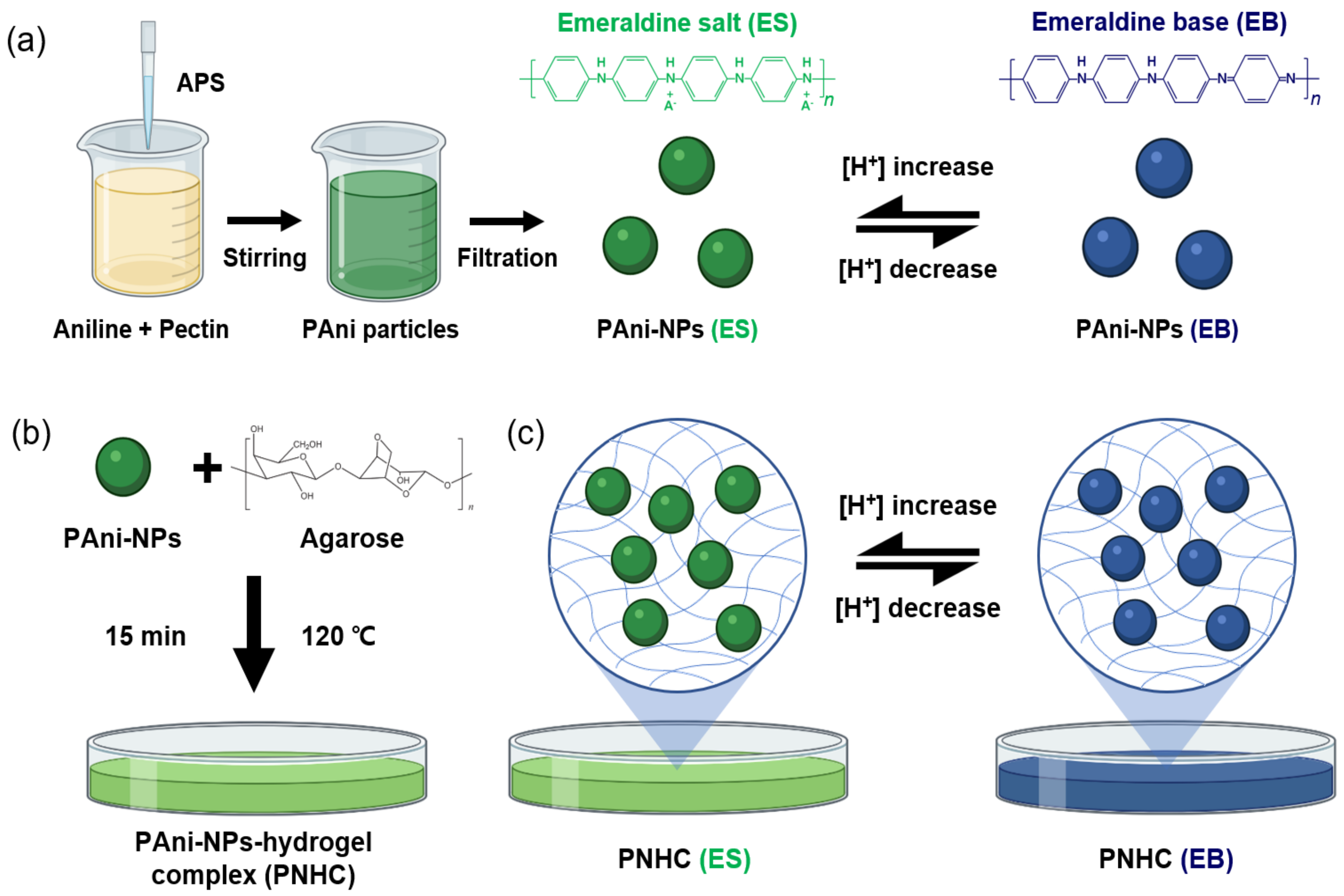 Nanomaterials 12 01150 g001