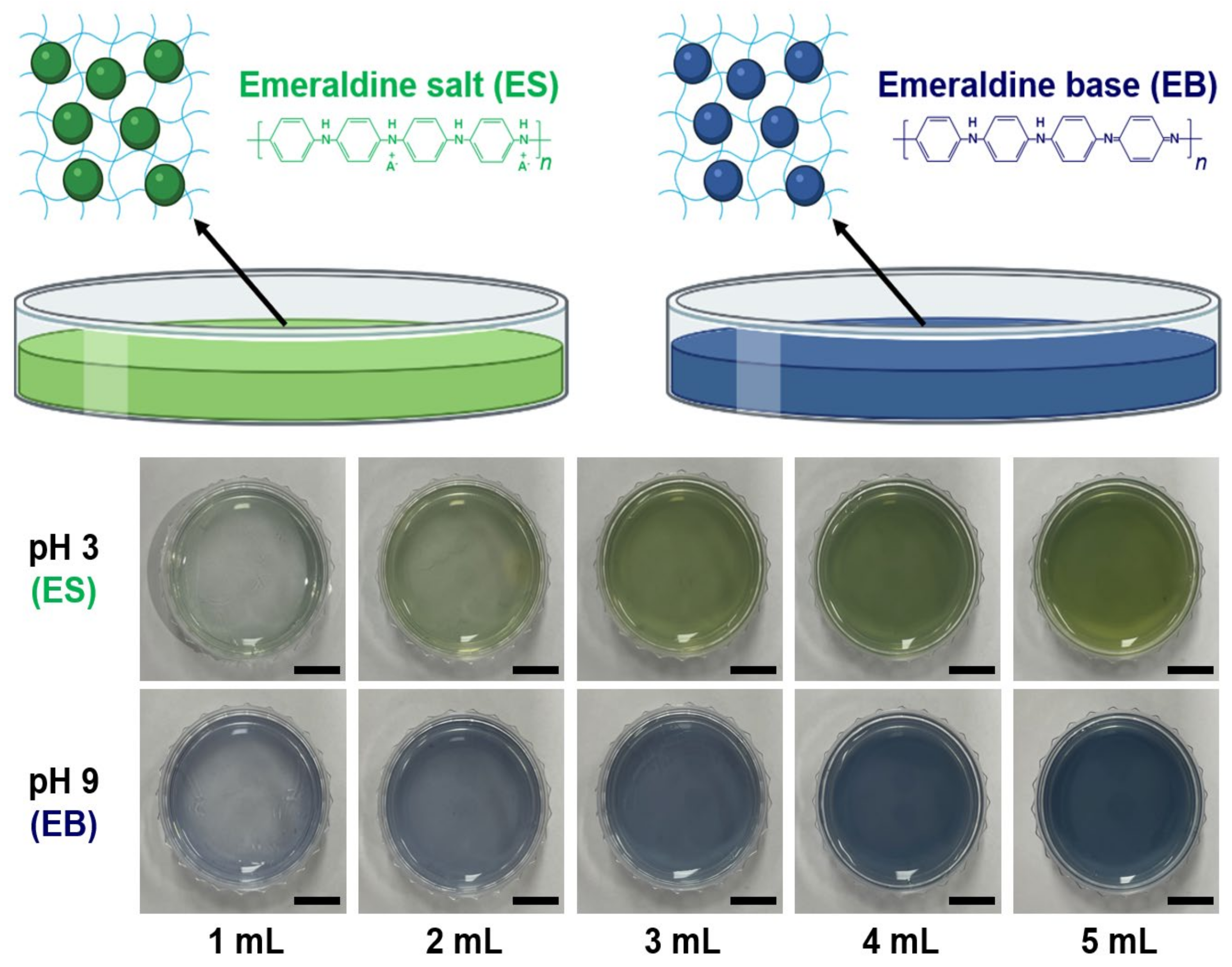 Nanomaterials 12 01150 g003