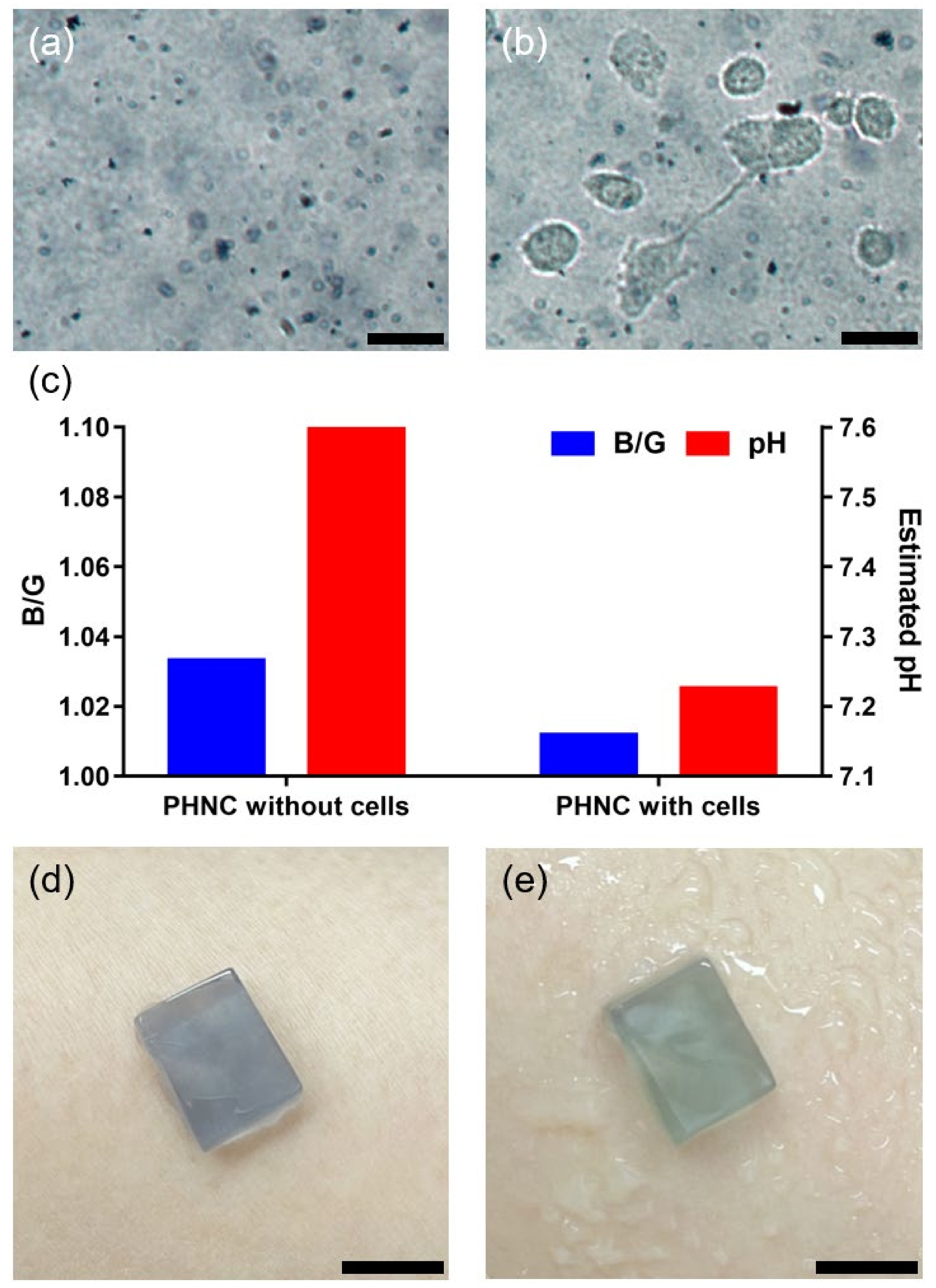 Nanomaterials 12 01150 g007