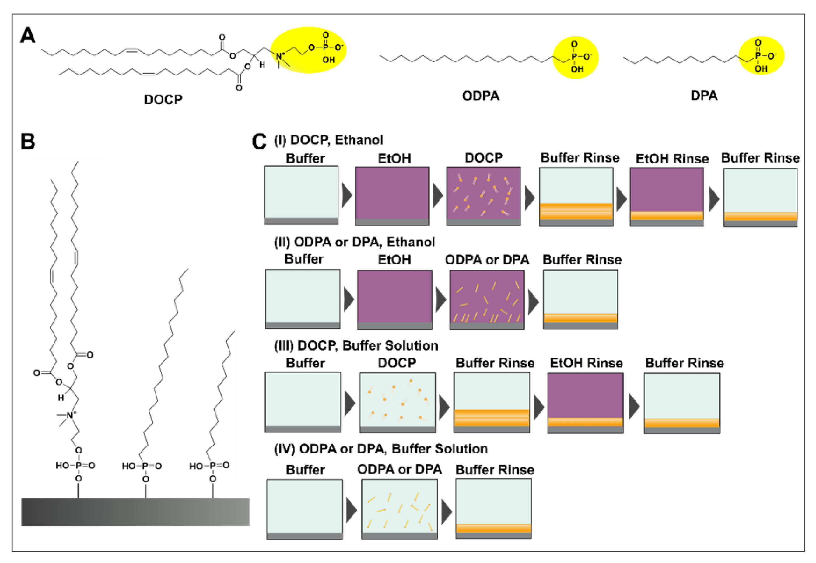 Nanomaterials 12 01153 g001