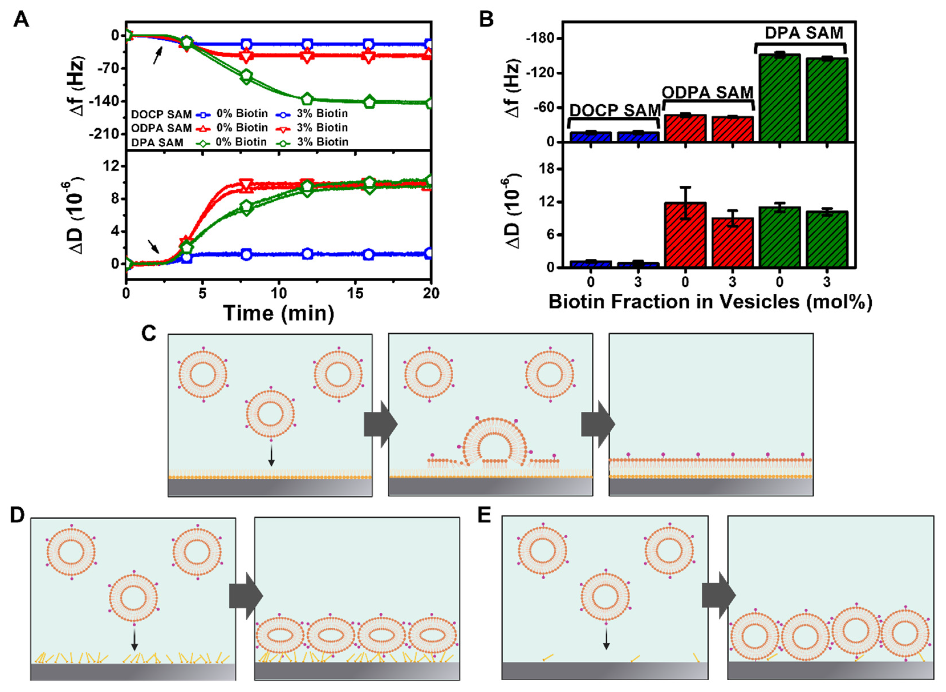 Nanomaterials 12 01153 g004