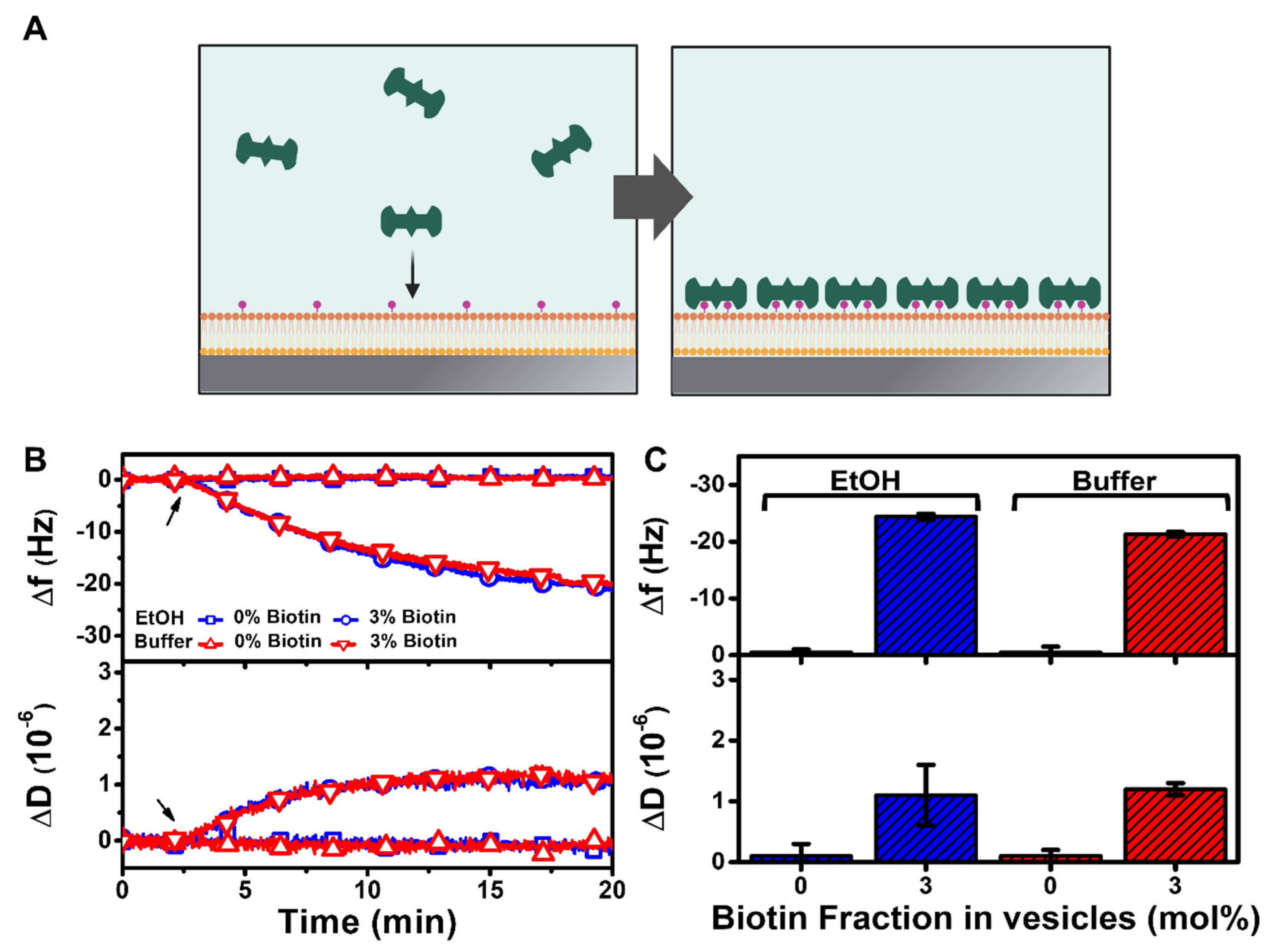 Nanomaterials 12 01153 g005