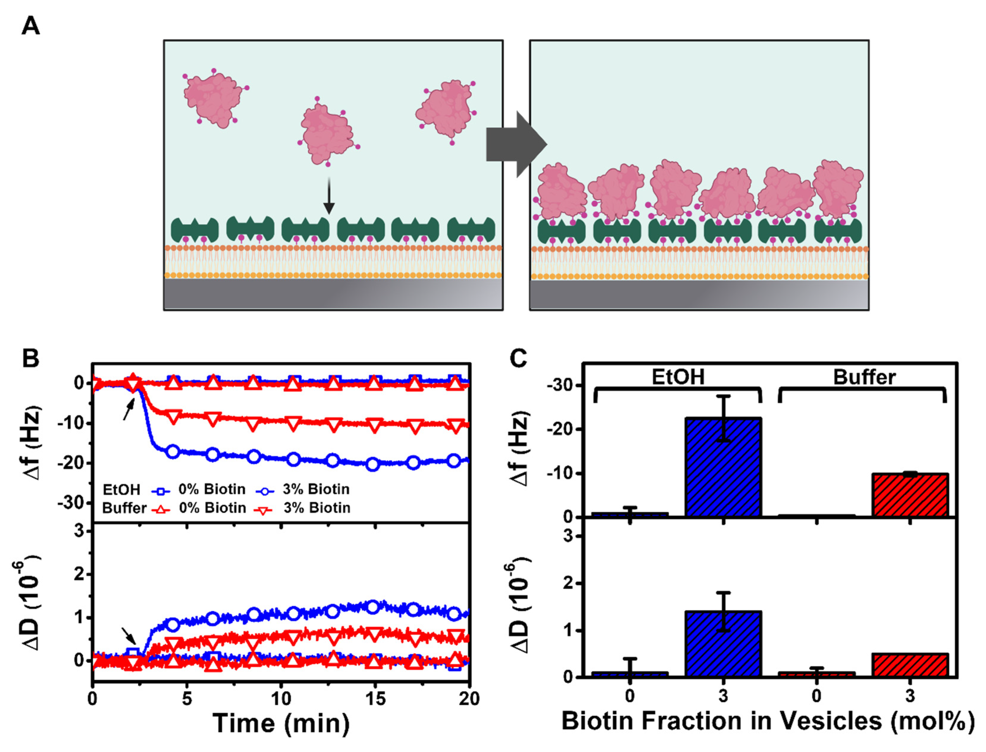 Nanomaterials 12 01153 g006