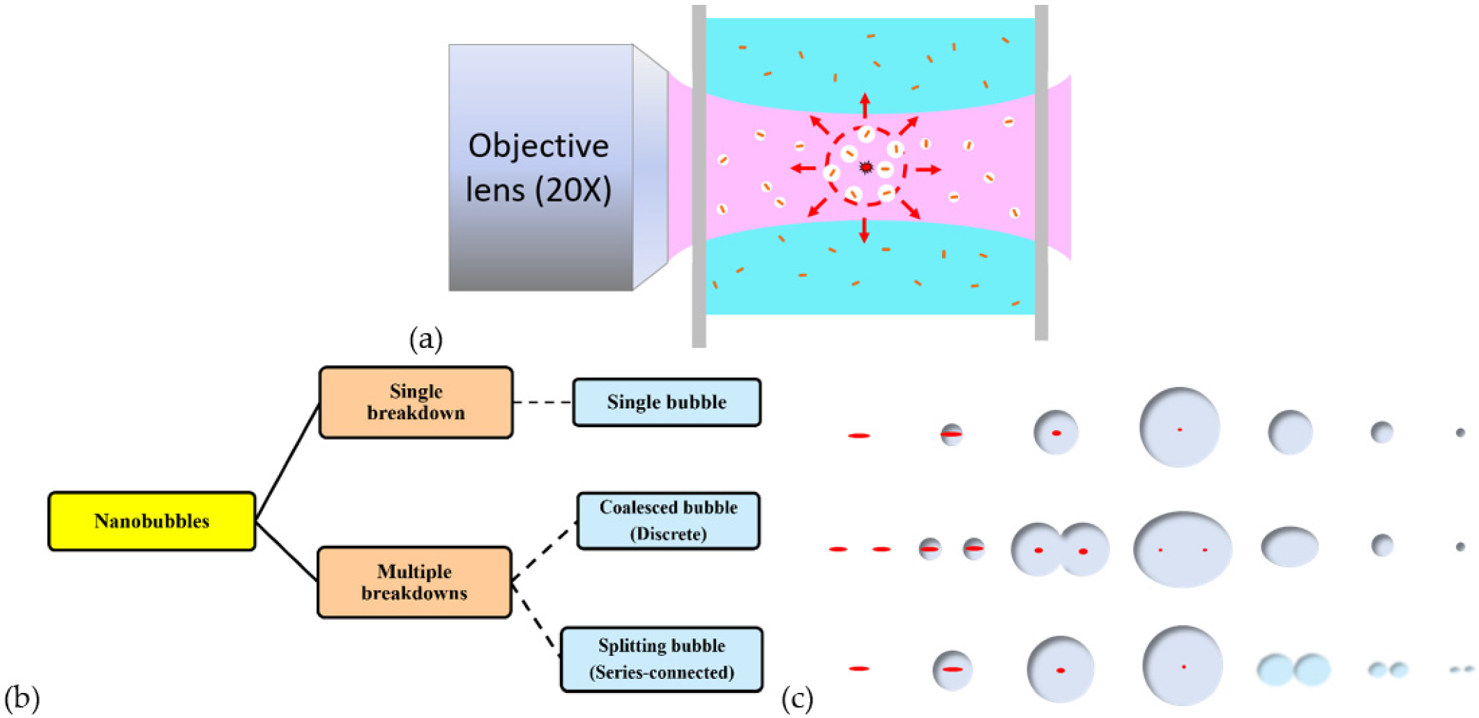 Nanomaterials 12 01154 g001