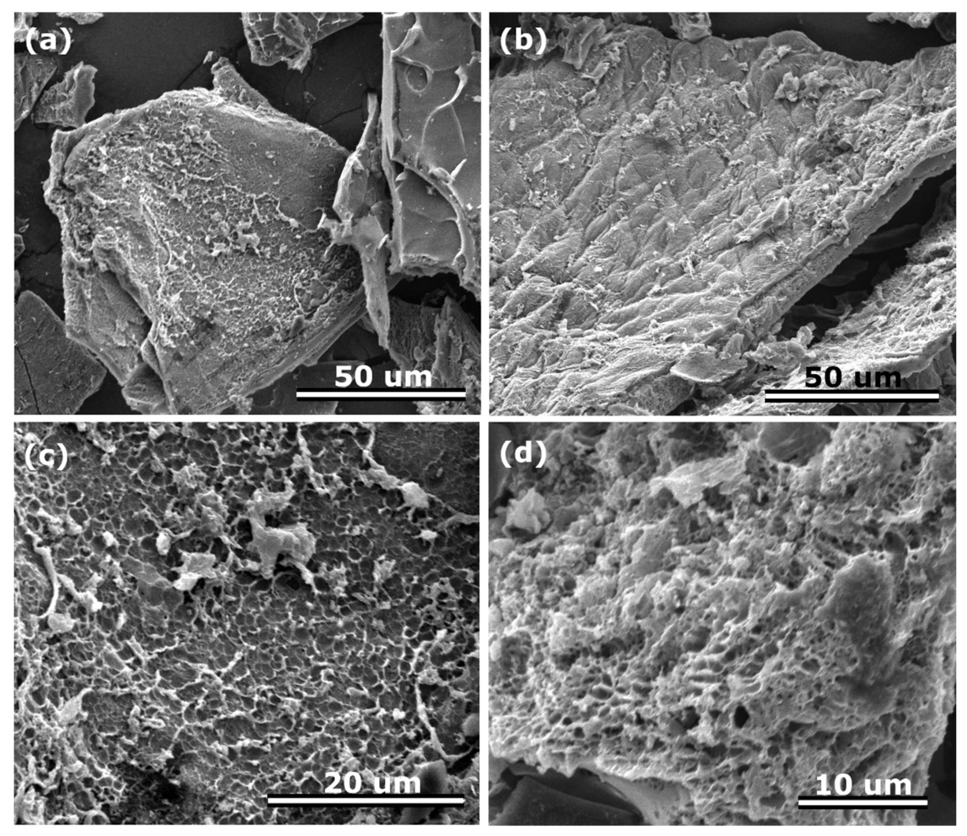 Nanomaterials 12 01162 g001