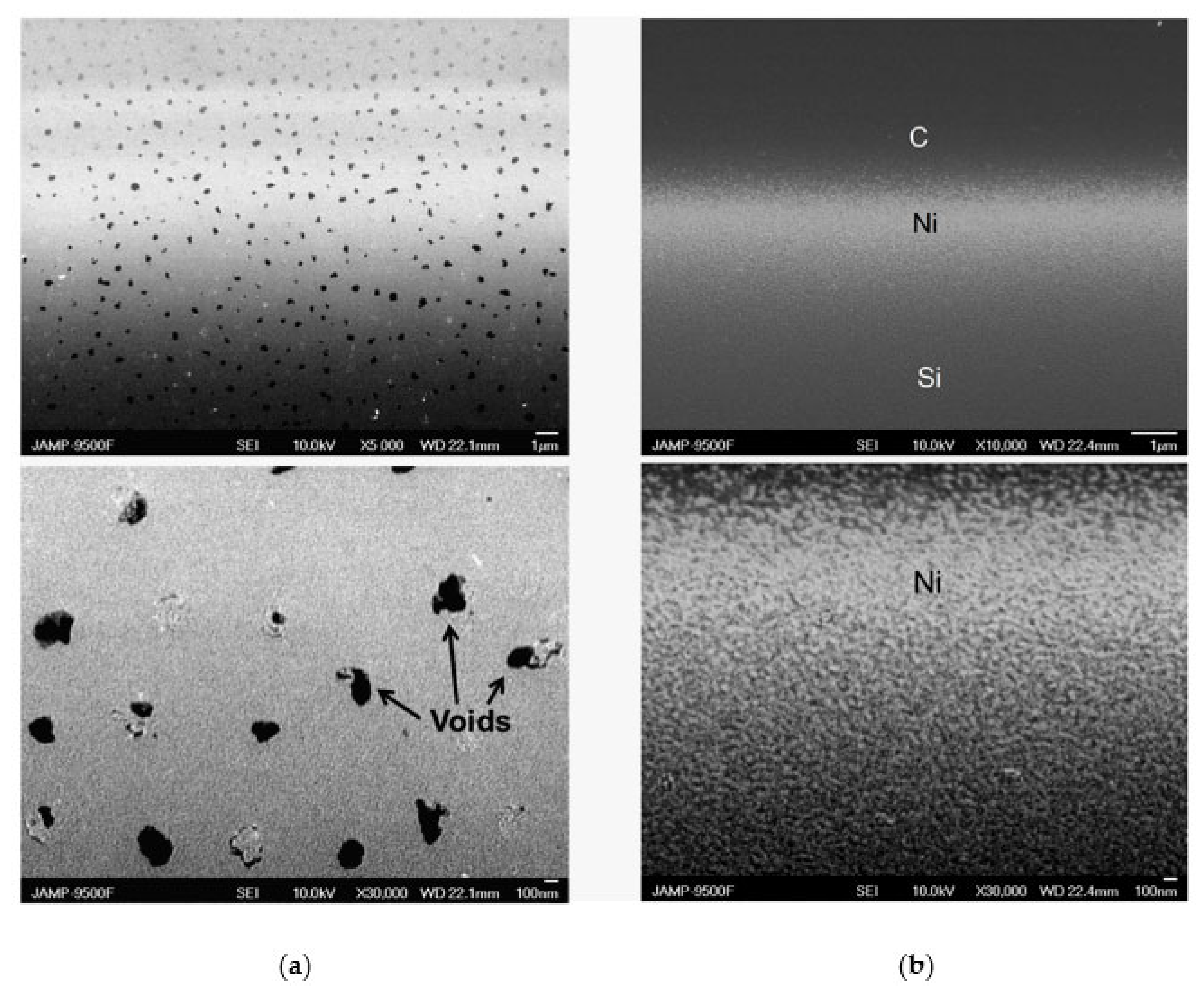 Nanomaterials 12 01163 g006 550