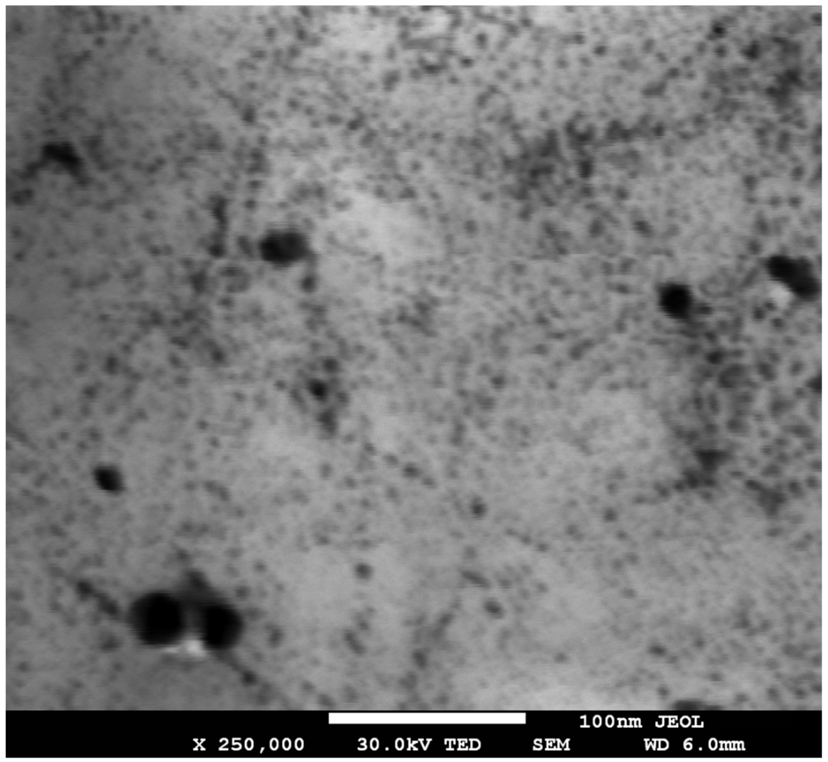 Nanomaterials 12 01164 g002