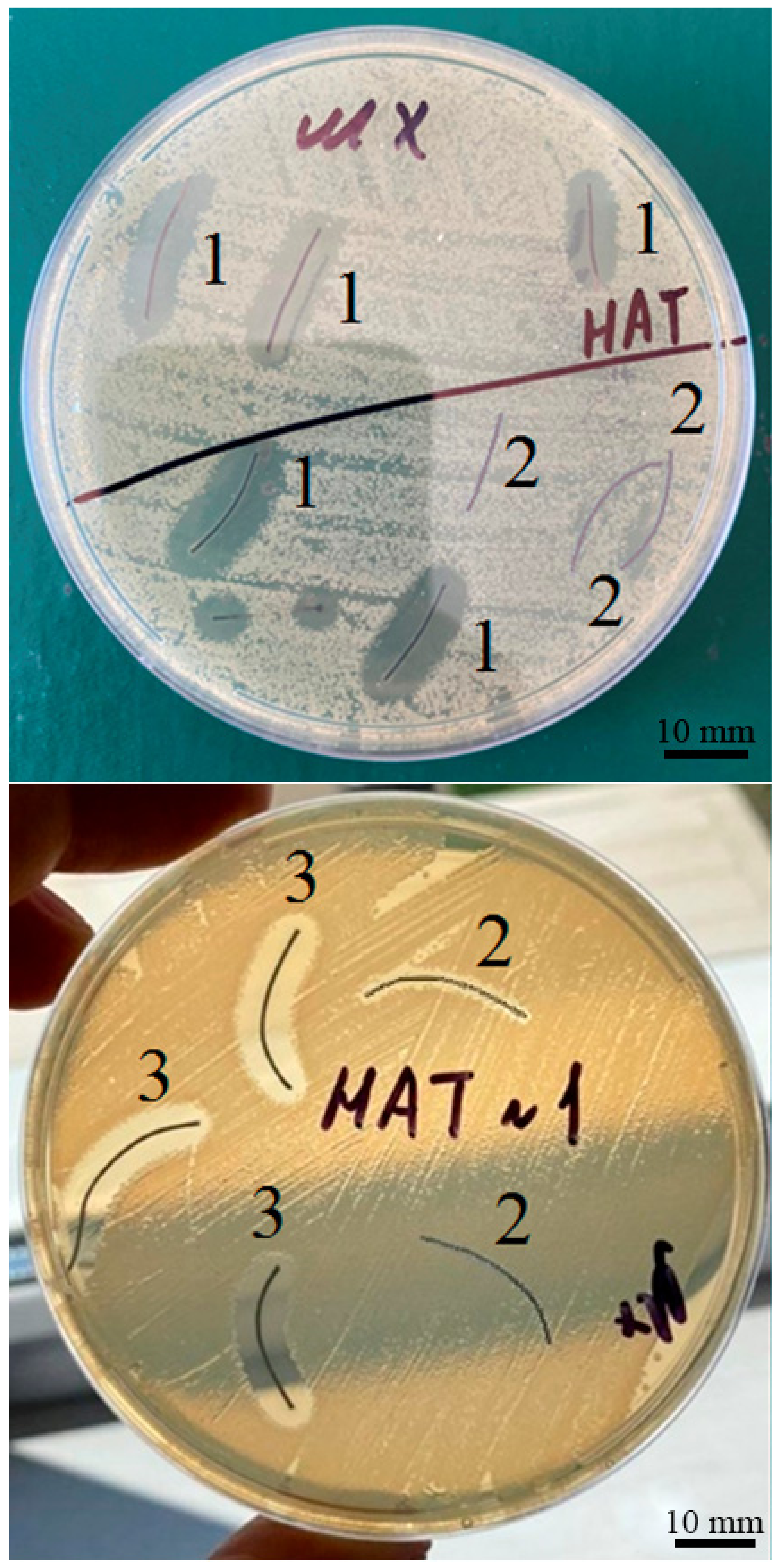 Nanomaterials 12 01164 g009