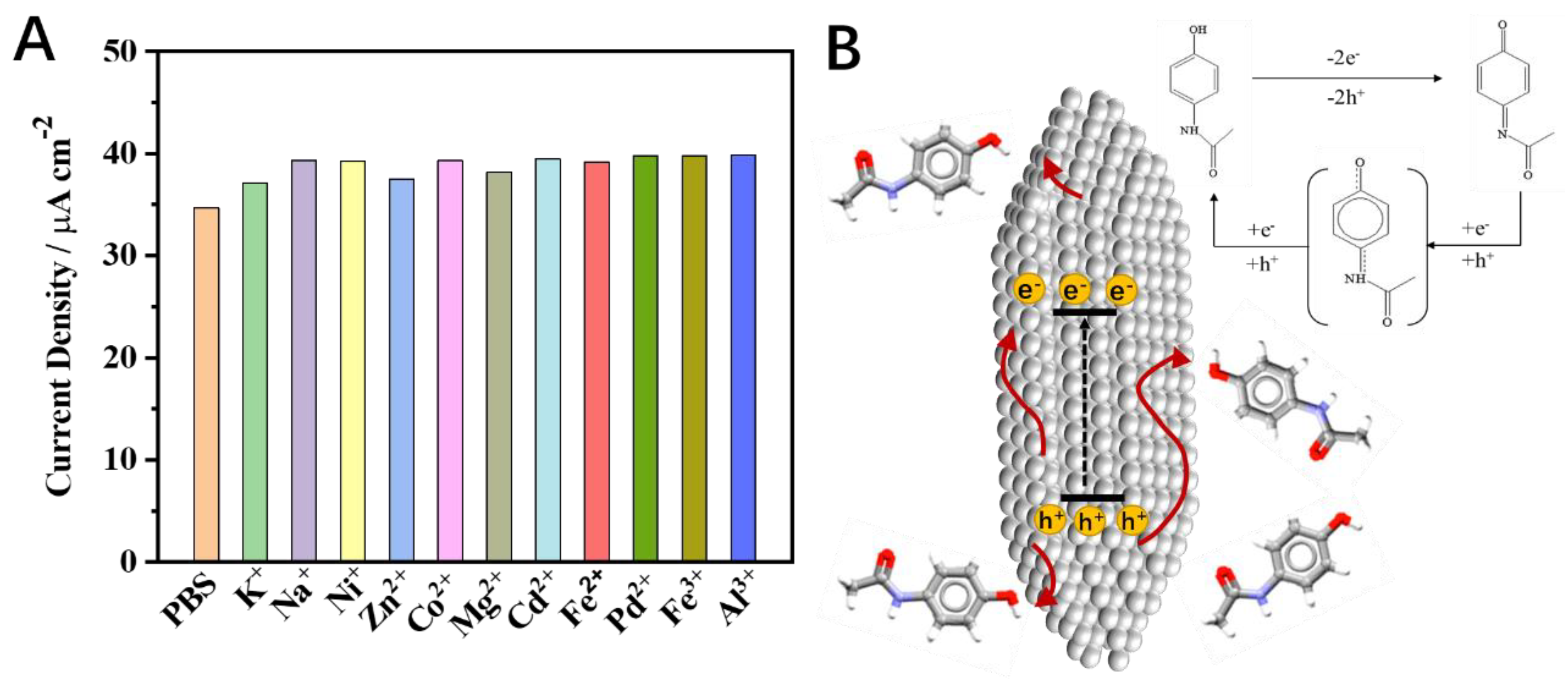 Nanomaterials 12 01173 g006