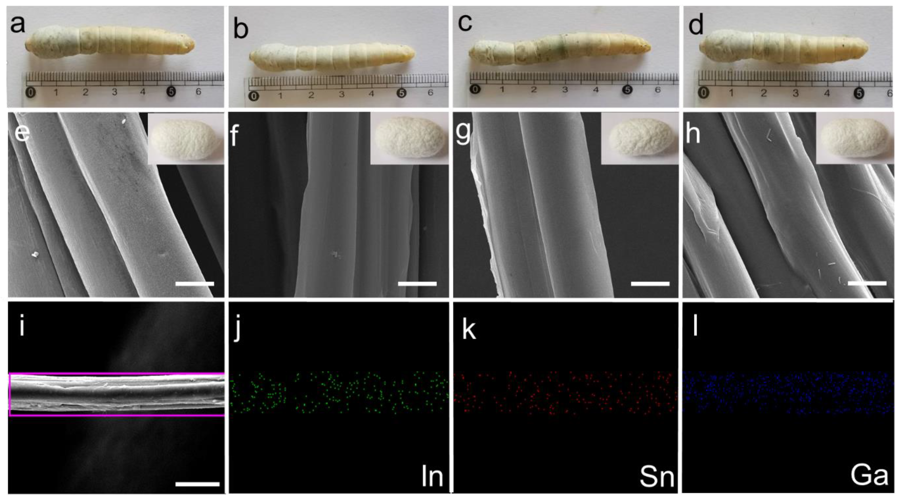 Nanomaterials 12 01177 g003 550
