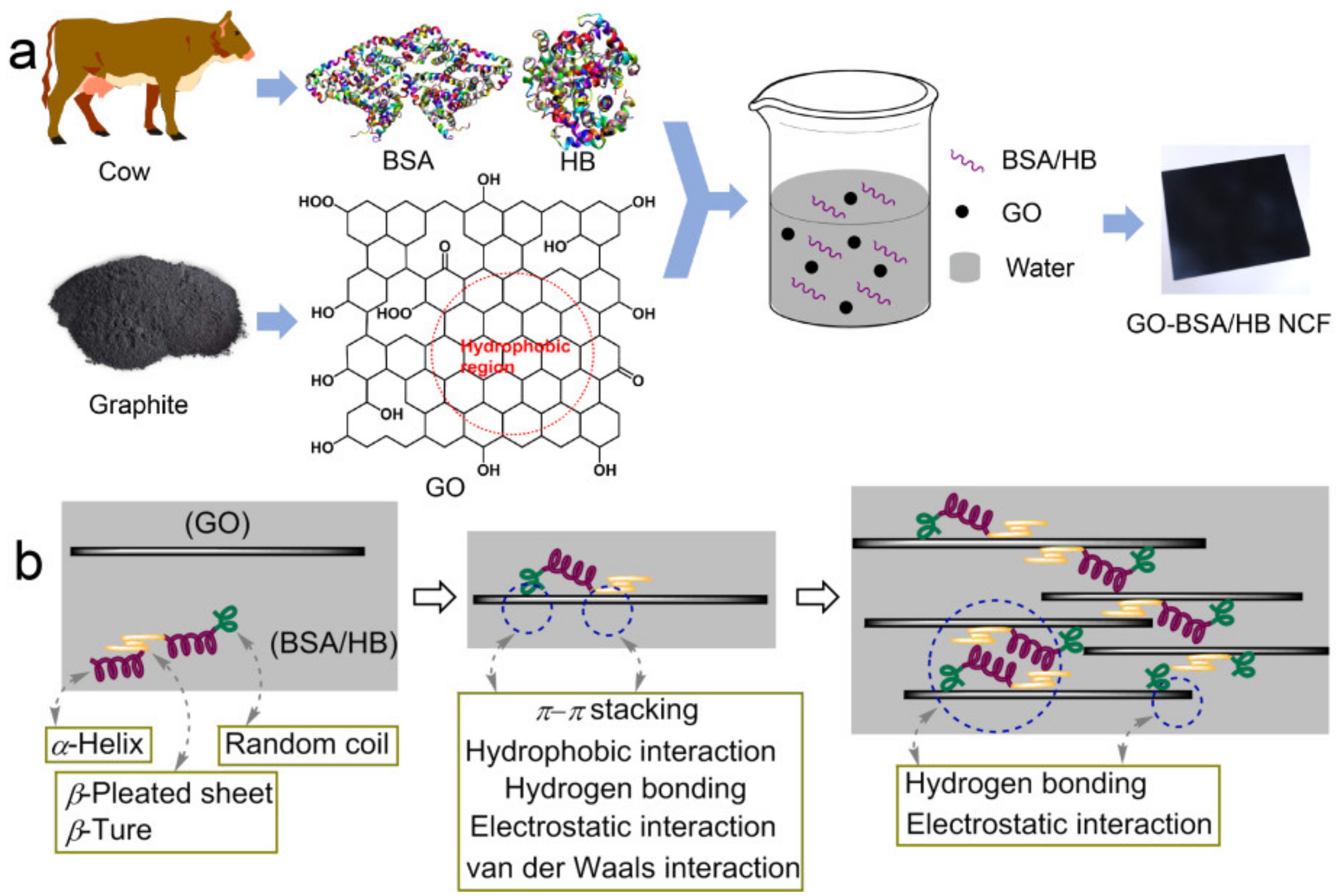 Nanomaterials 12 01181 g001