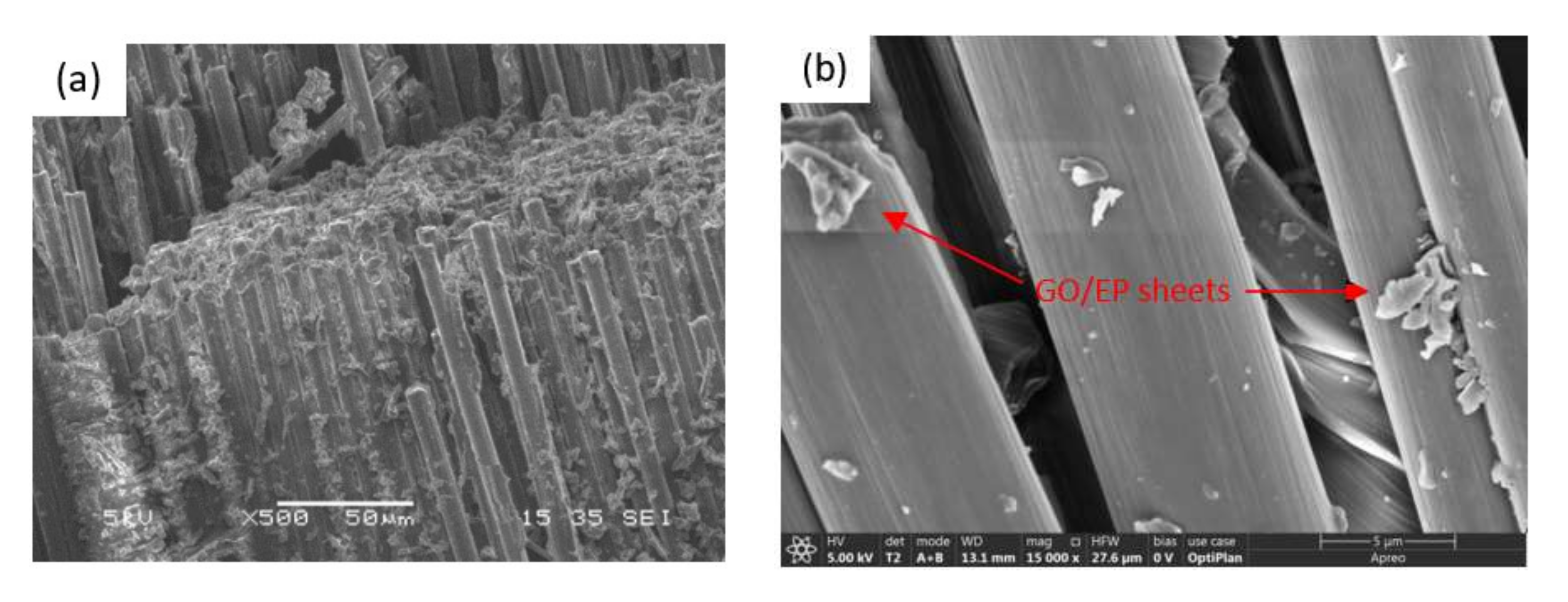 Nanomaterials 12 01184 g005