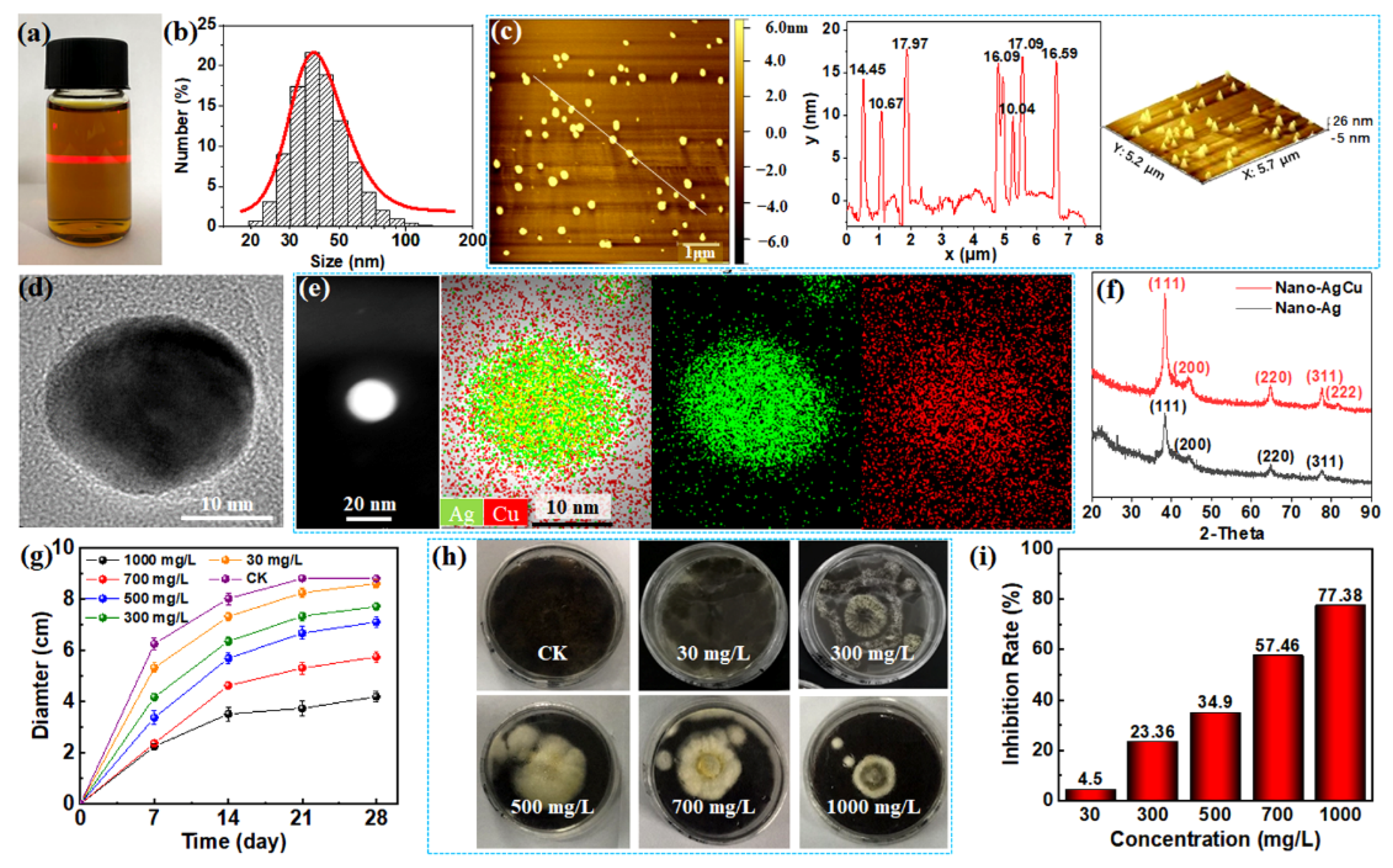Nanomaterials 12 01192 g002 550