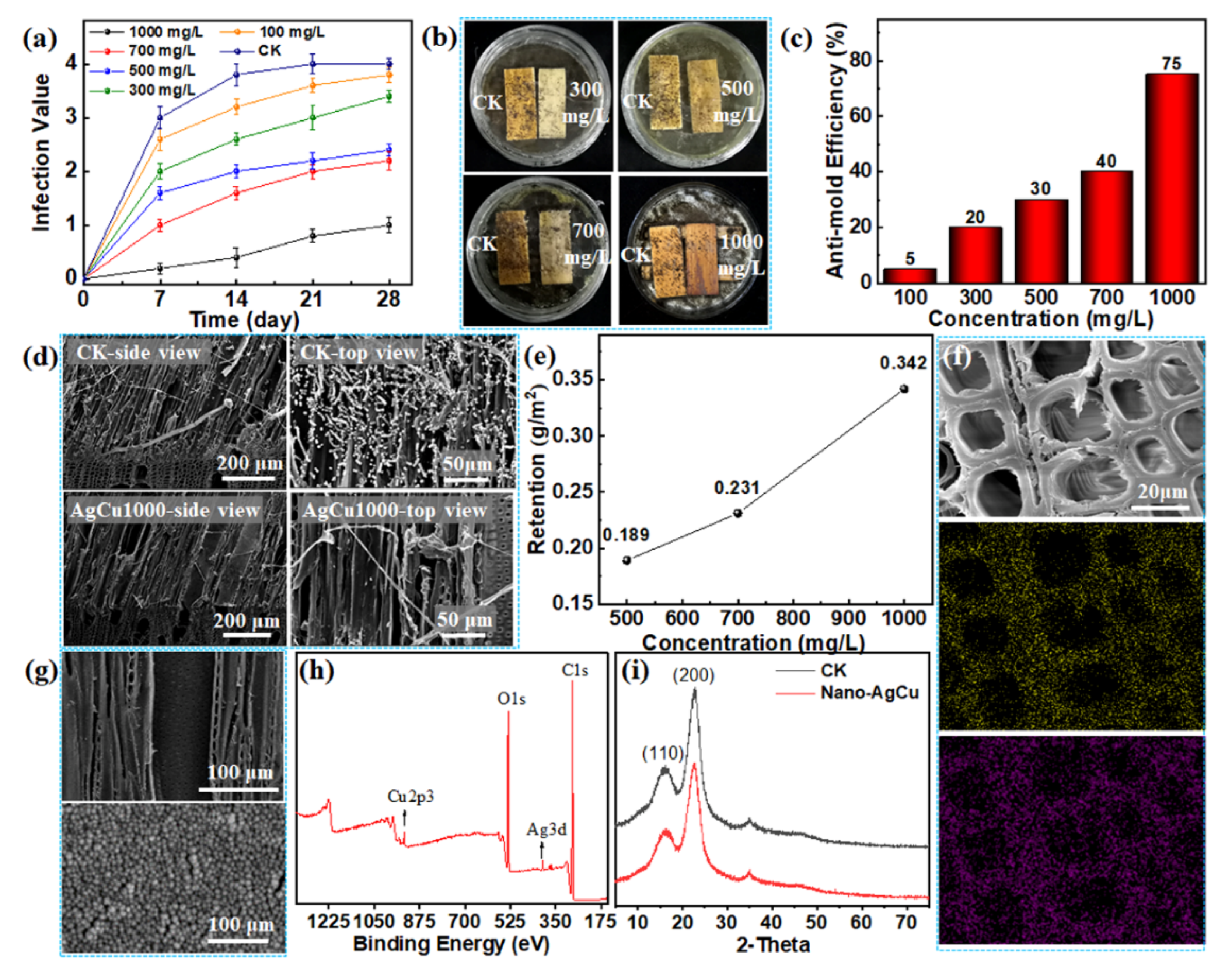 Nanomaterials 12 01192 g003 550