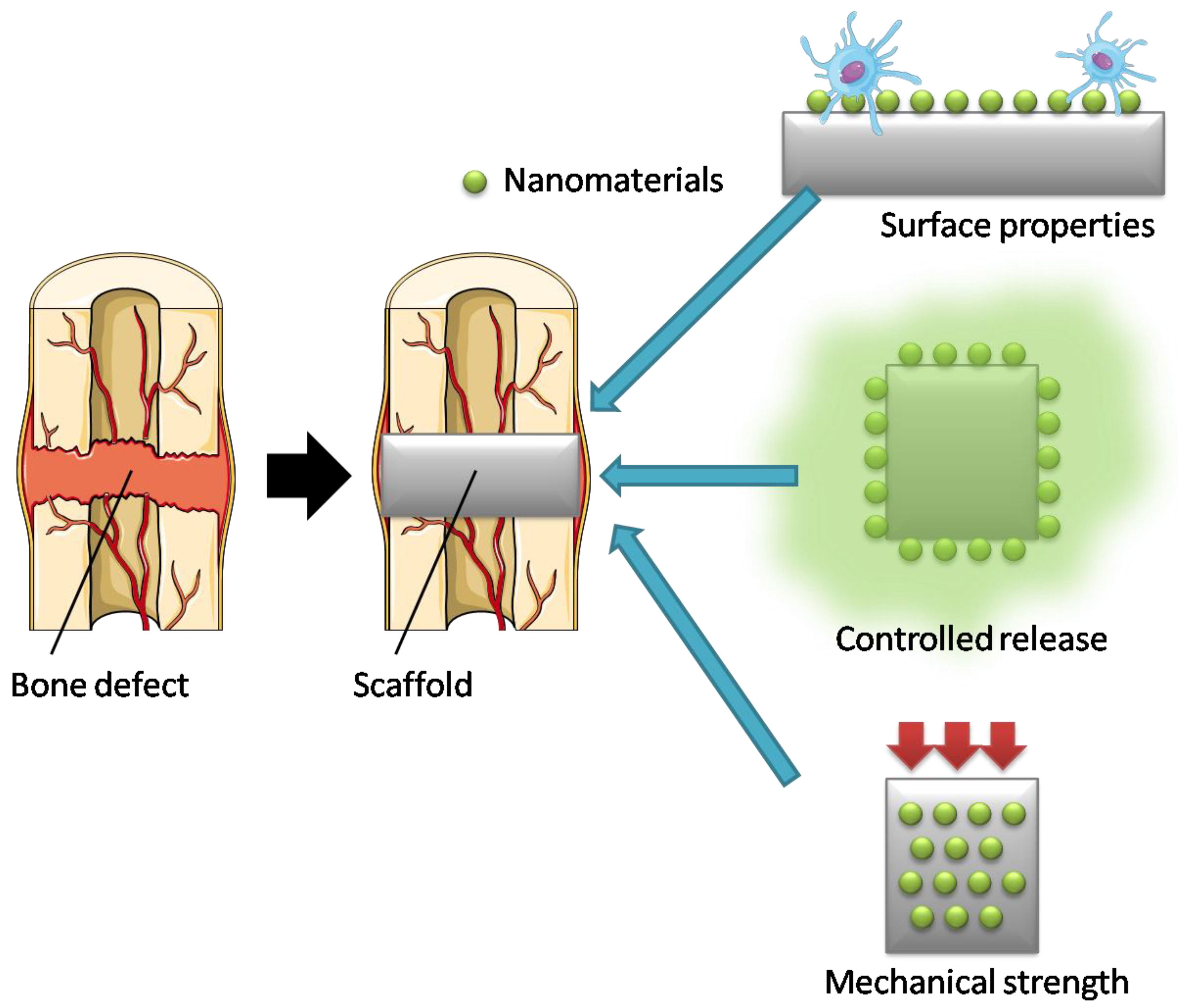 Nanomaterials 12 01195 g002 Nanomaterials 12 01195 g002