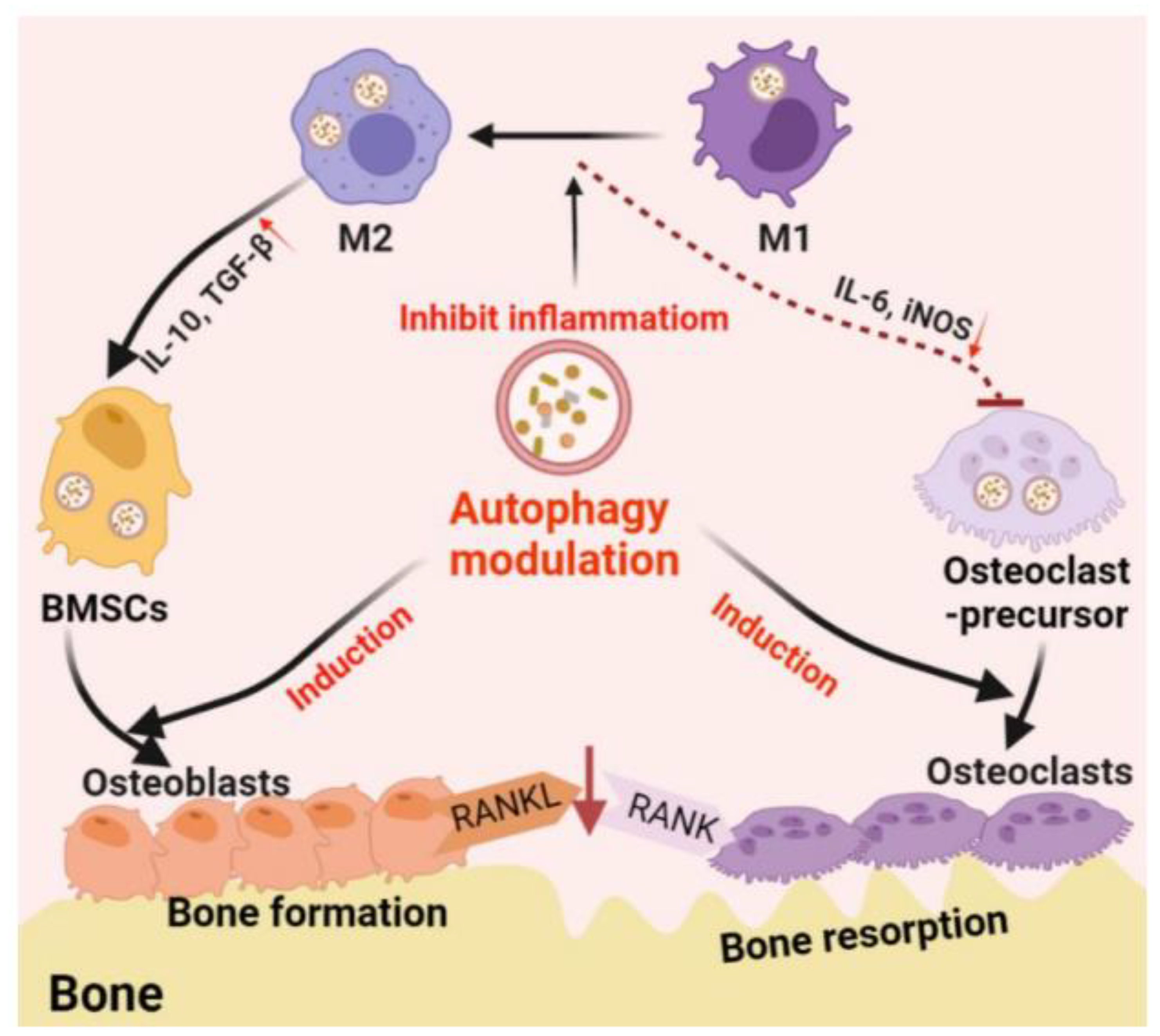 Nanomaterials 12 01195 g003 Nanomaterials 12 01195 g003