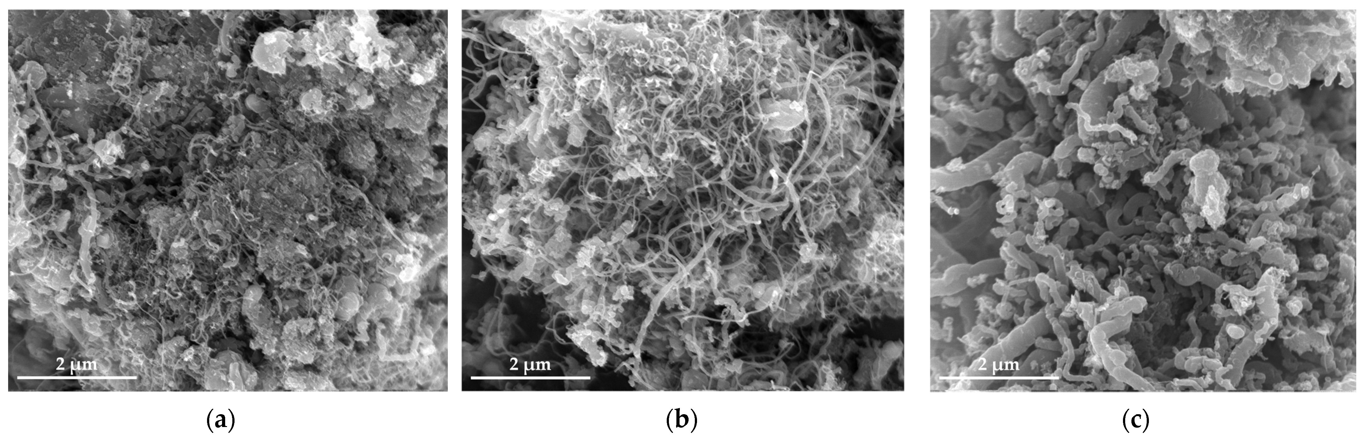 Nanomaterials 12 01199 g011 Nanomaterials 12 01199 g011