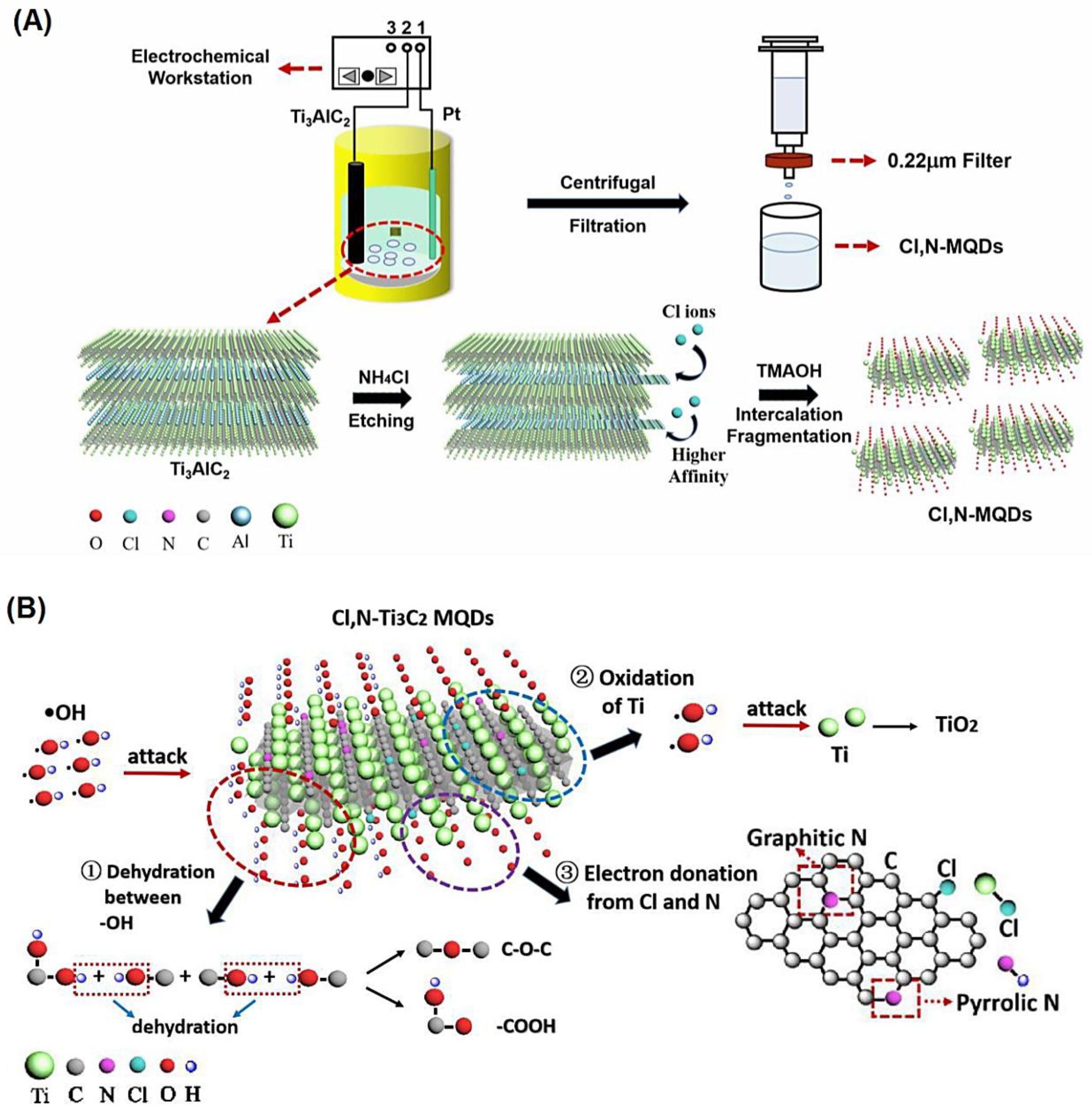 Nanomaterials 12 01200 g005