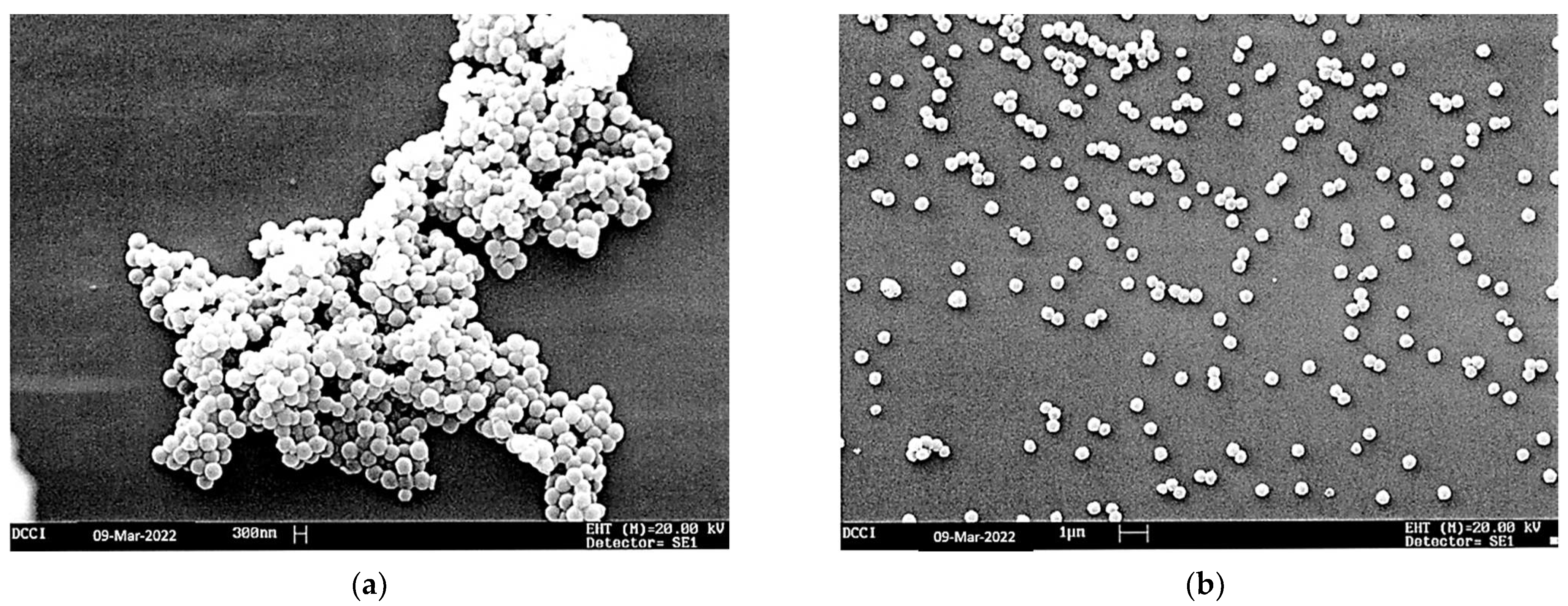 Nanomaterials 12 01215 g008 550