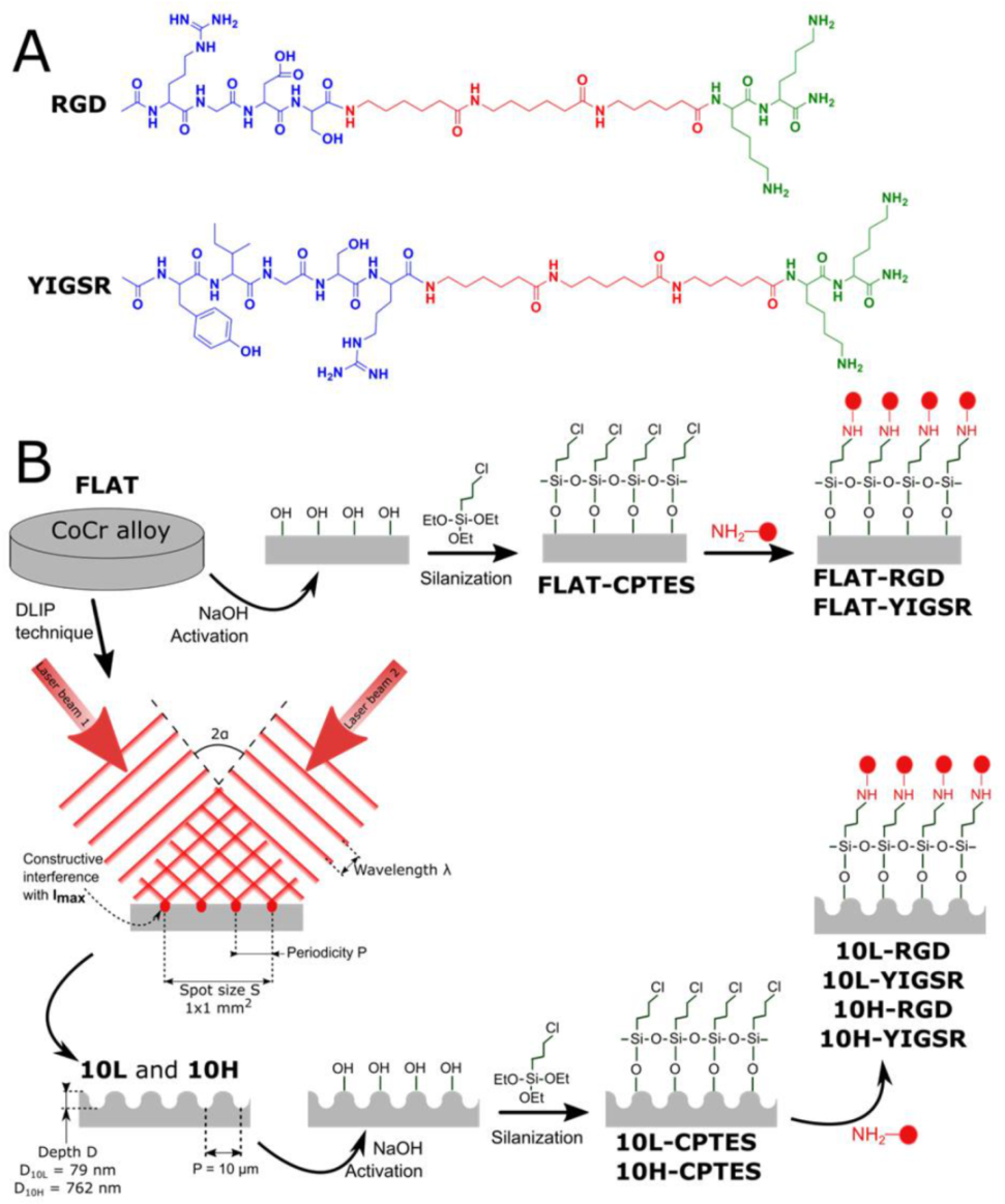 Nanomaterials 12 01217 g001 Nanomaterials 12 01217 g001