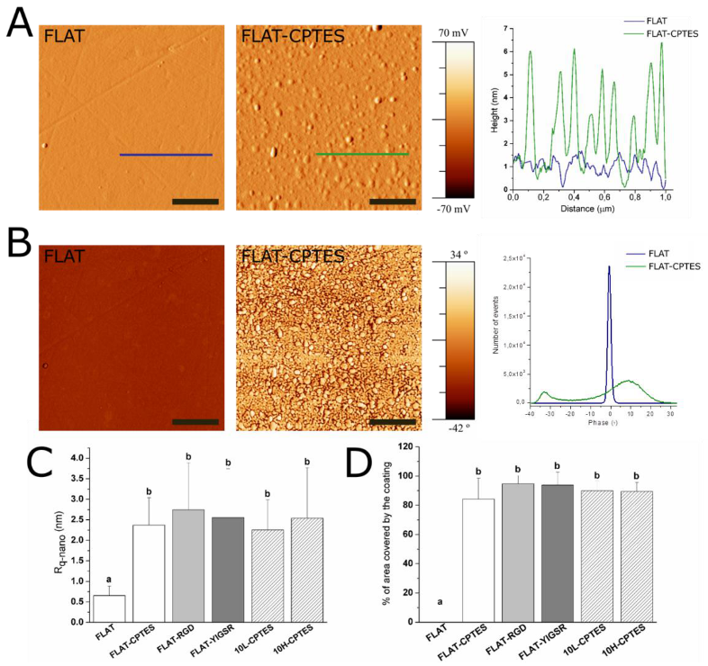 Nanomaterials 12 01217 g003 Nanomaterials 12 01217 g003