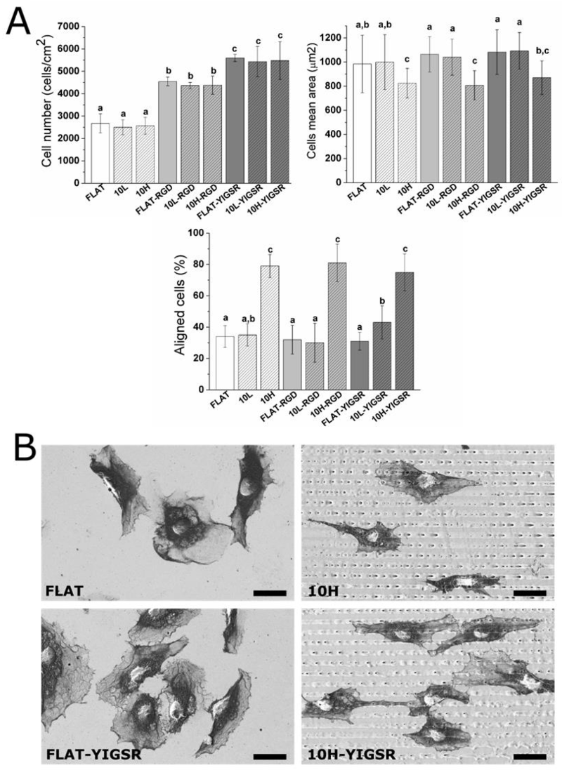 Nanomaterials 12 01217 g006 Nanomaterials 12 01217 g006