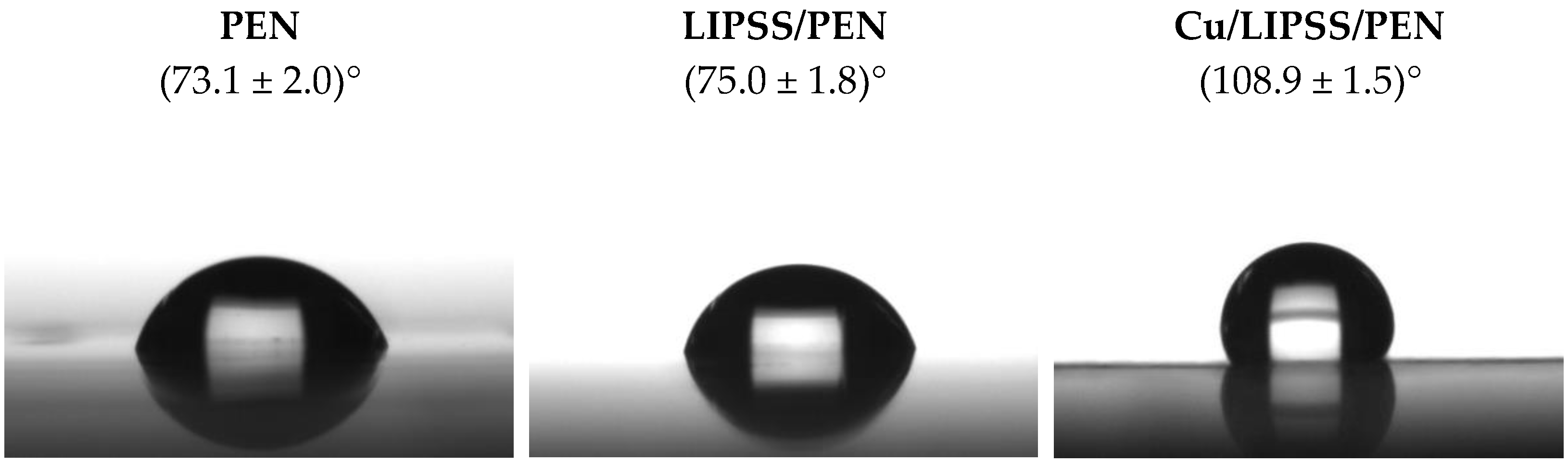 Nanomaterials 12 01220 g006