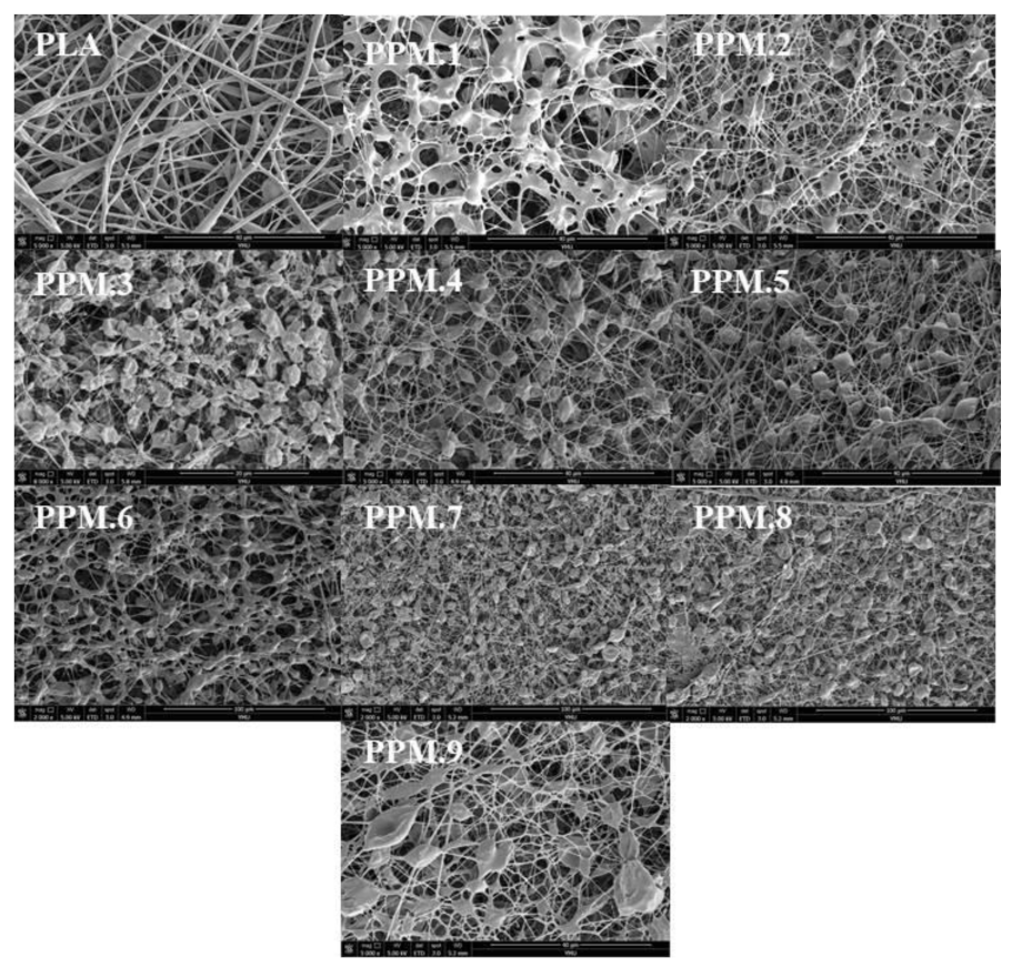 Nanomaterials 12 01229 g004