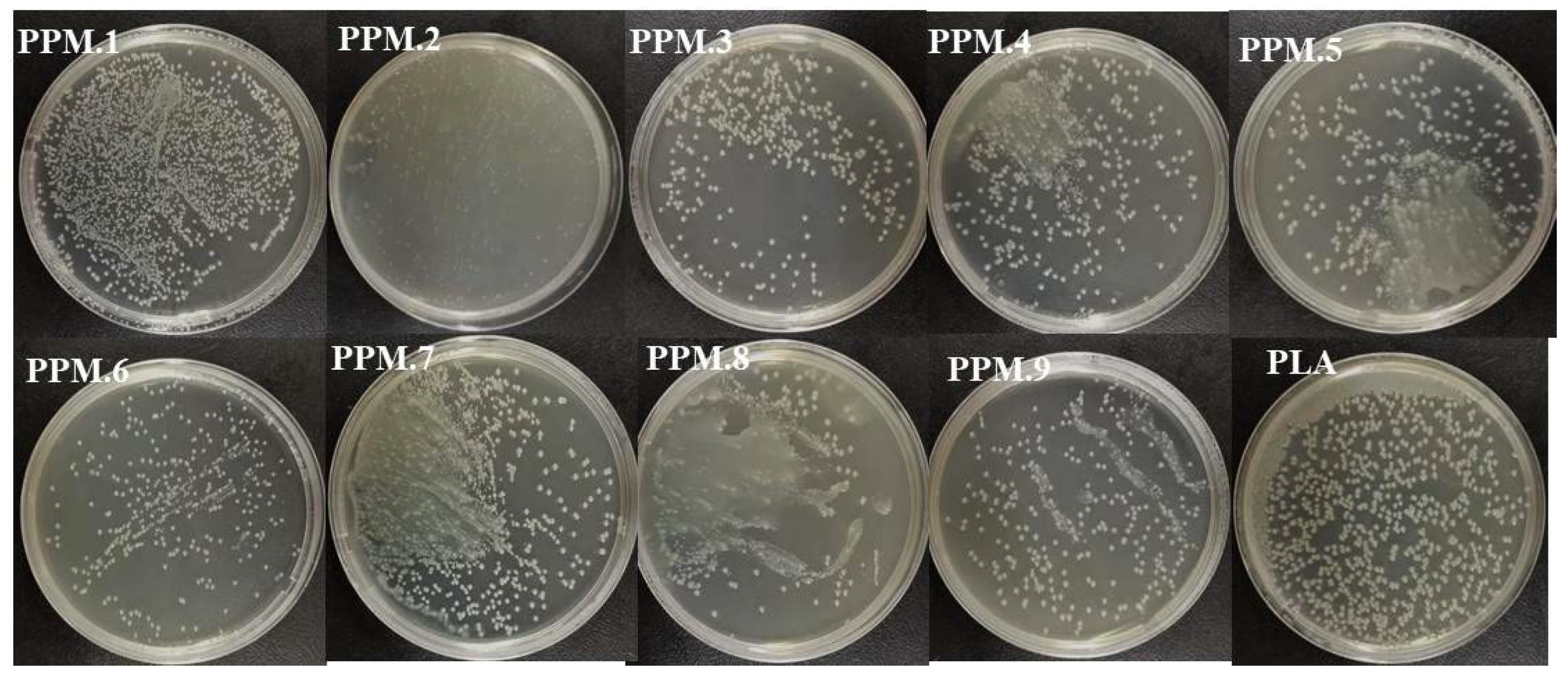 Nanomaterials 12 01229 g007
