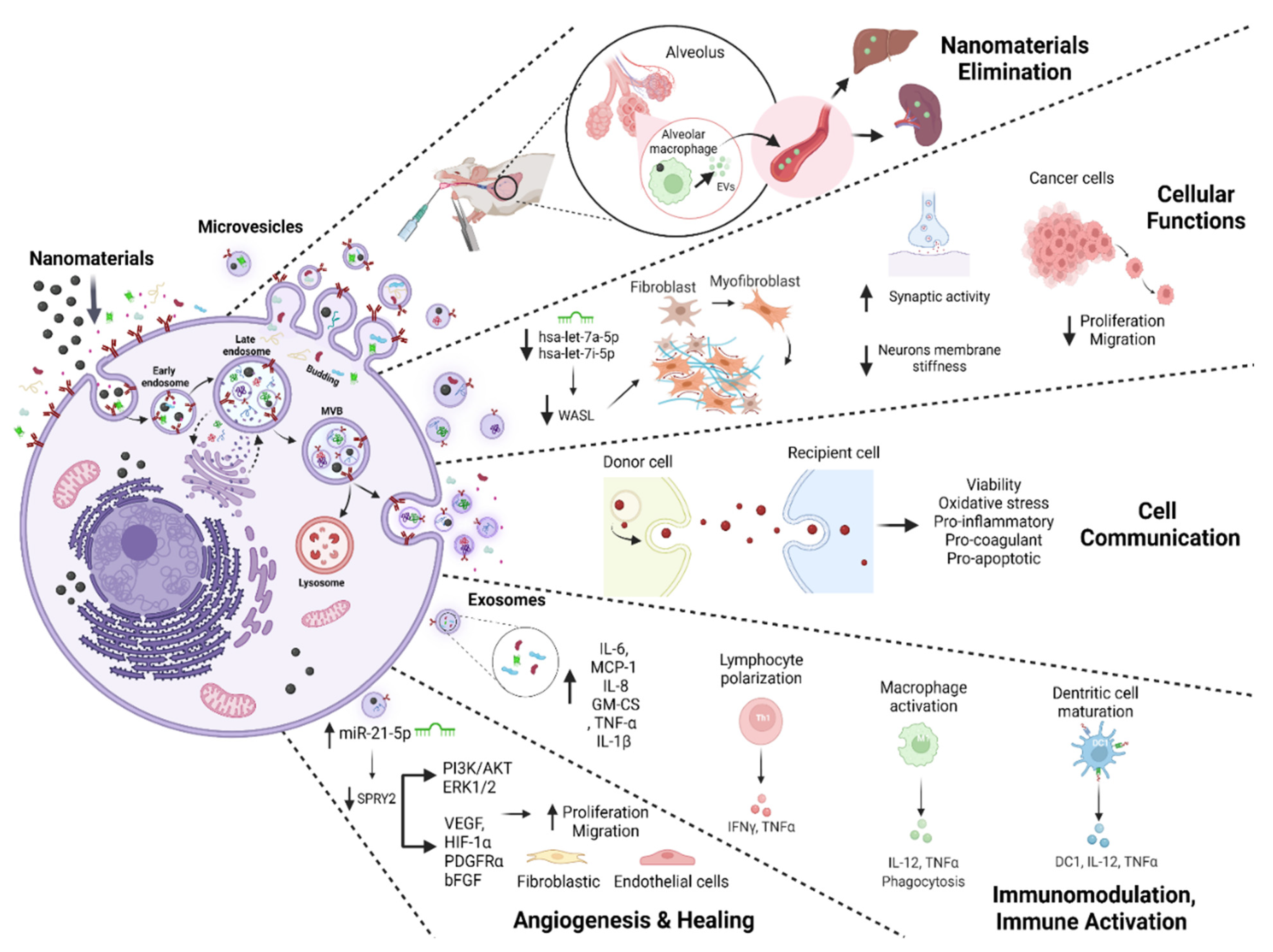 Nanomaterials 12 01231 g004