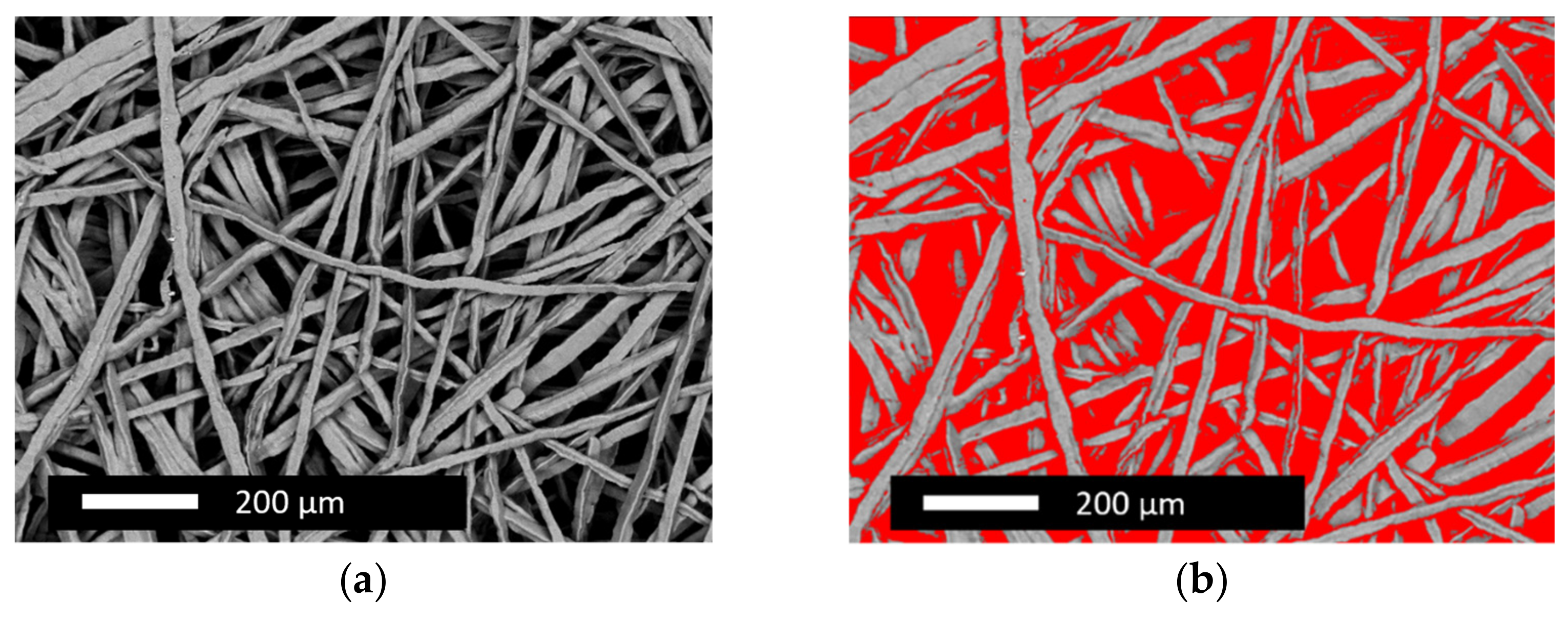 Nanomaterials 12 01233 g001