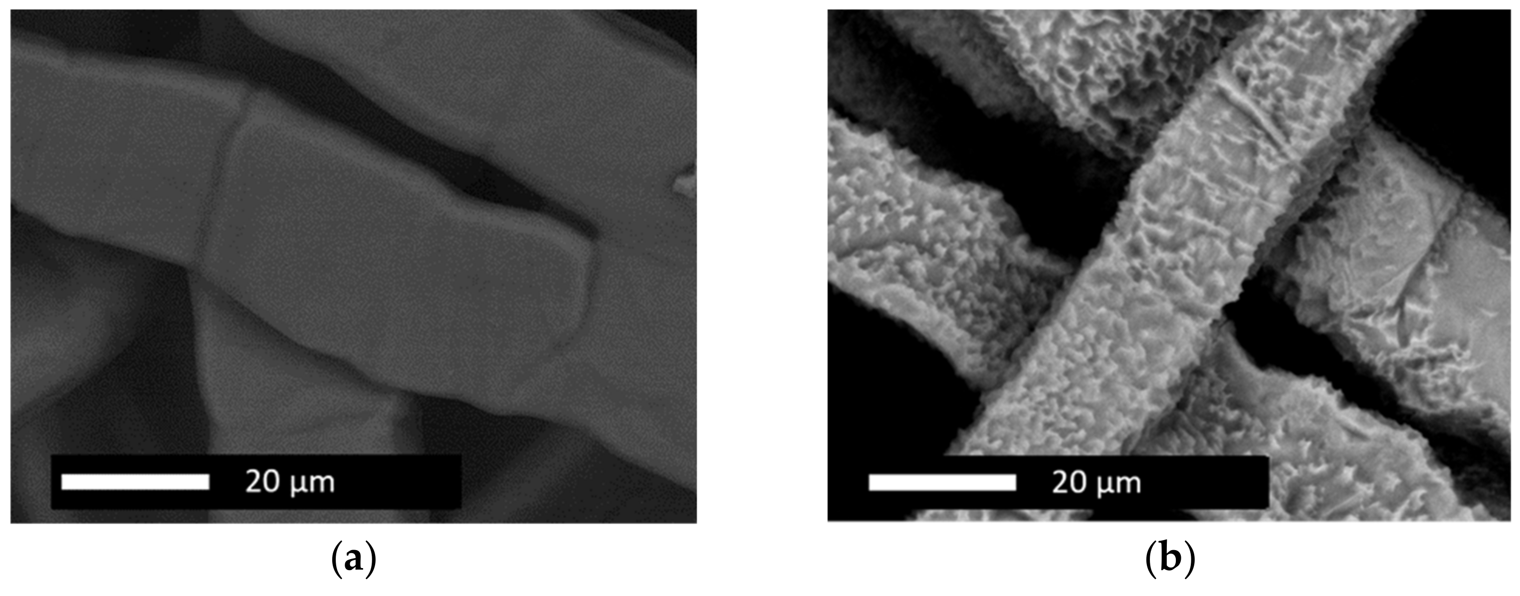 Nanomaterials 12 01233 g002