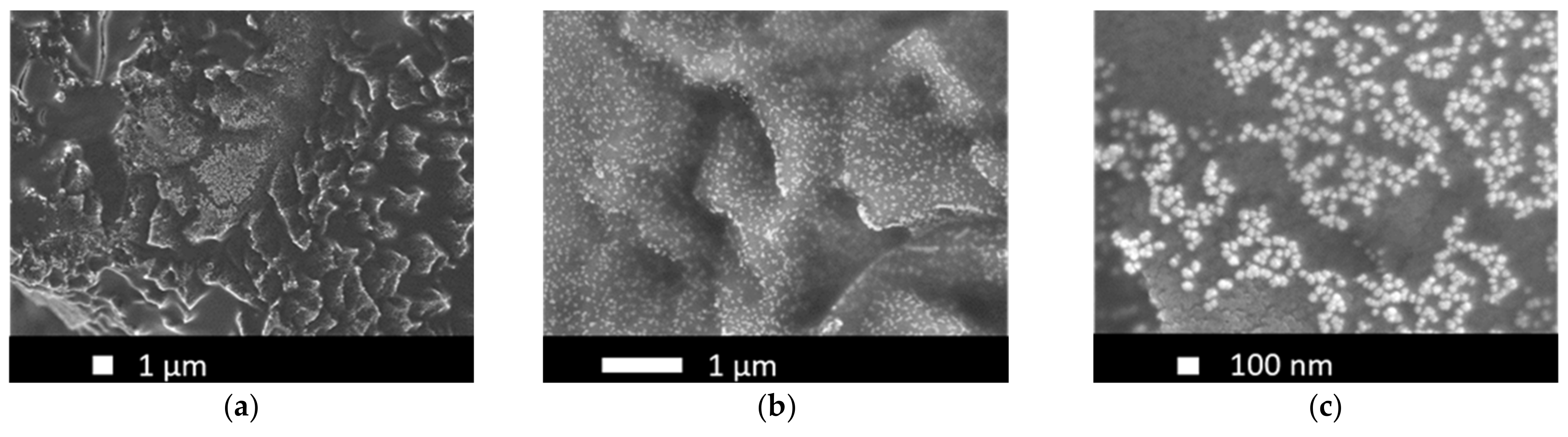 Nanomaterials 12 01233 g010