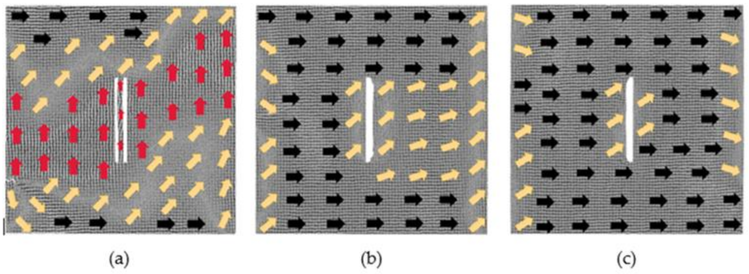 Nanomaterials 12 01236 g010