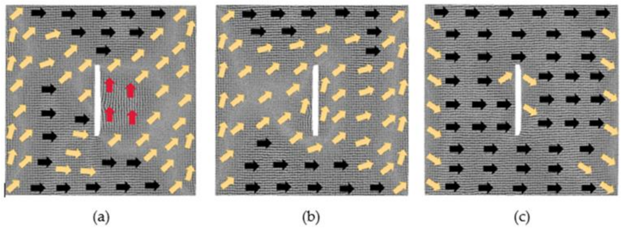Nanomaterials 12 01236 g011