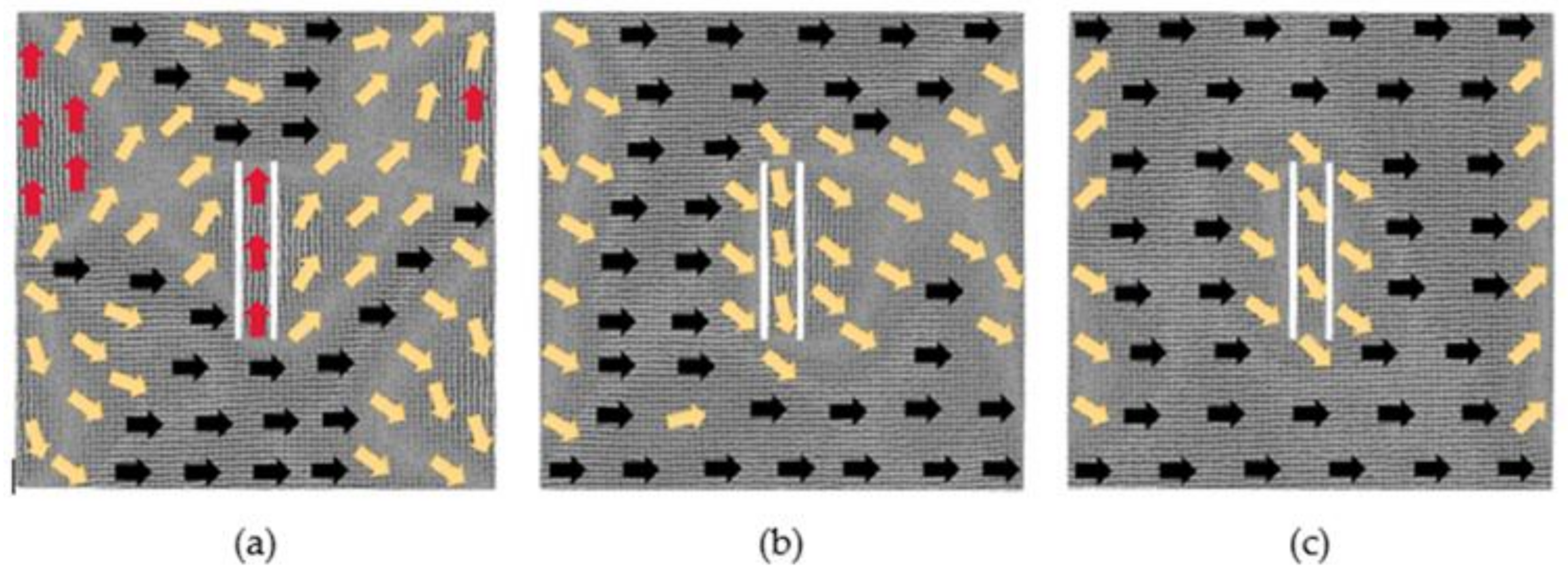 Nanomaterials 12 01236 g012