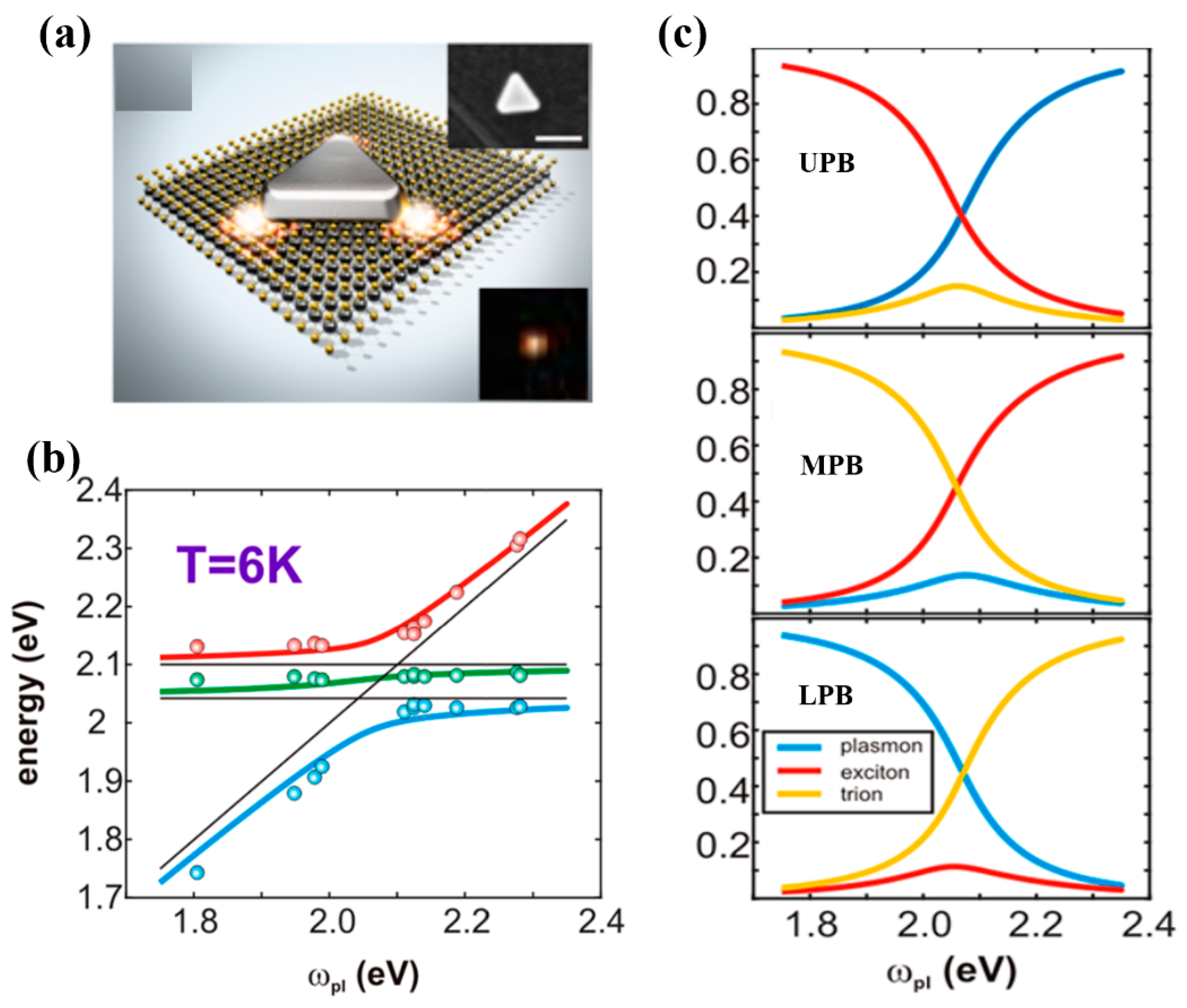 Nanomaterials 12 01242 g003