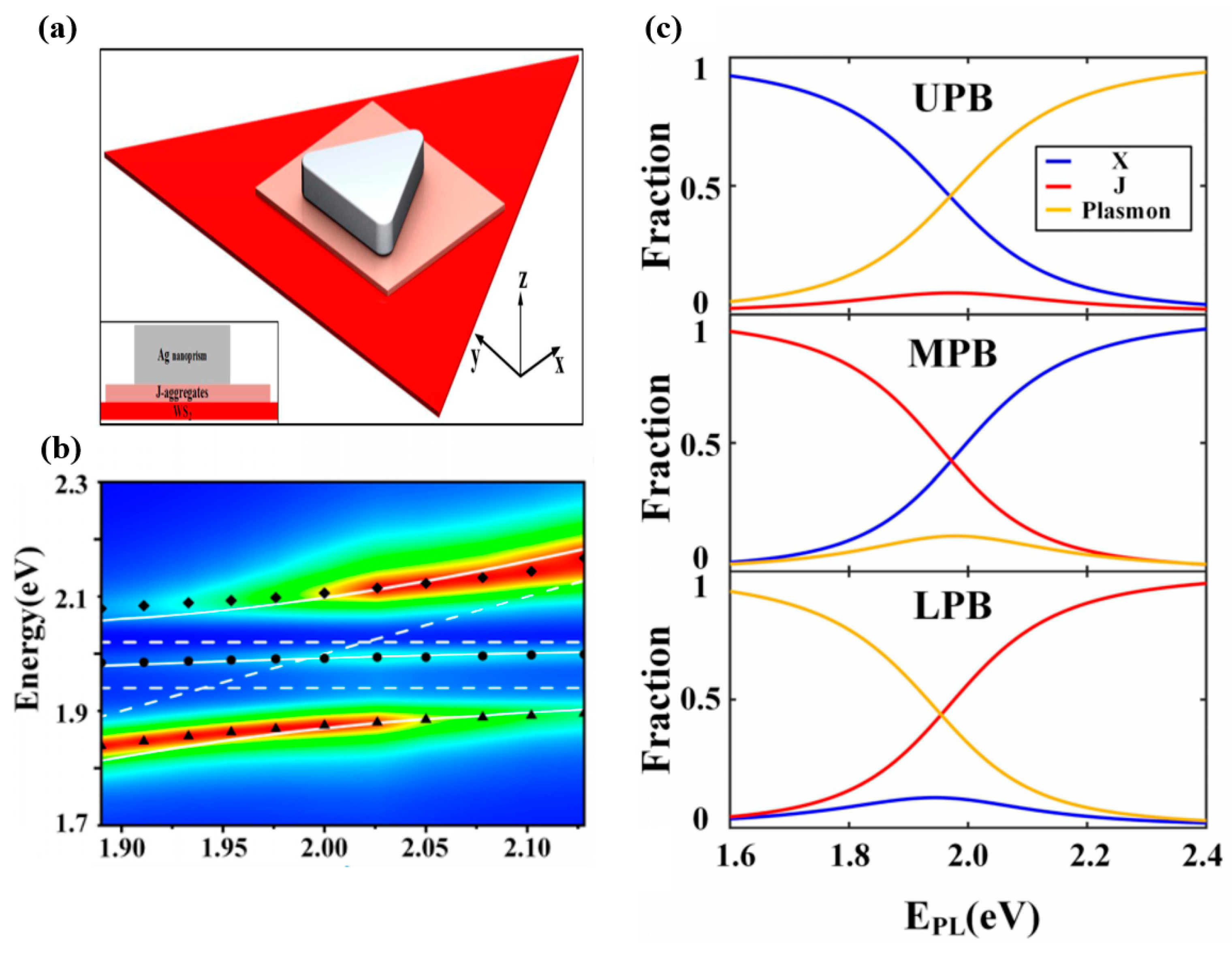 Nanomaterials 12 01242 g005