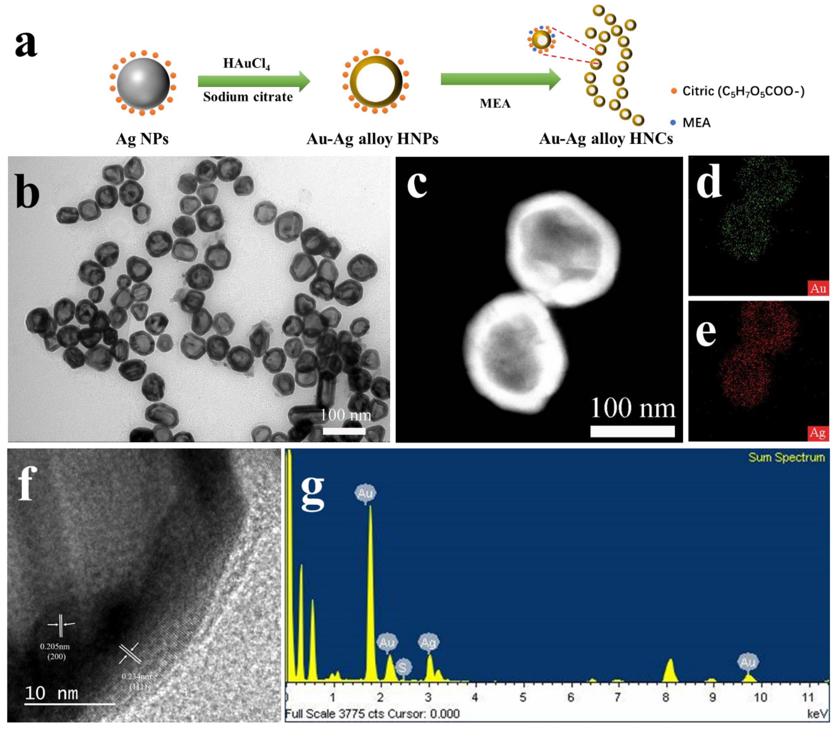 Nanomaterials 12 01244 g001 550