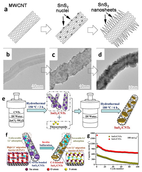 Recent Developments of Tin (II) Sulfide/Carbon Composites
