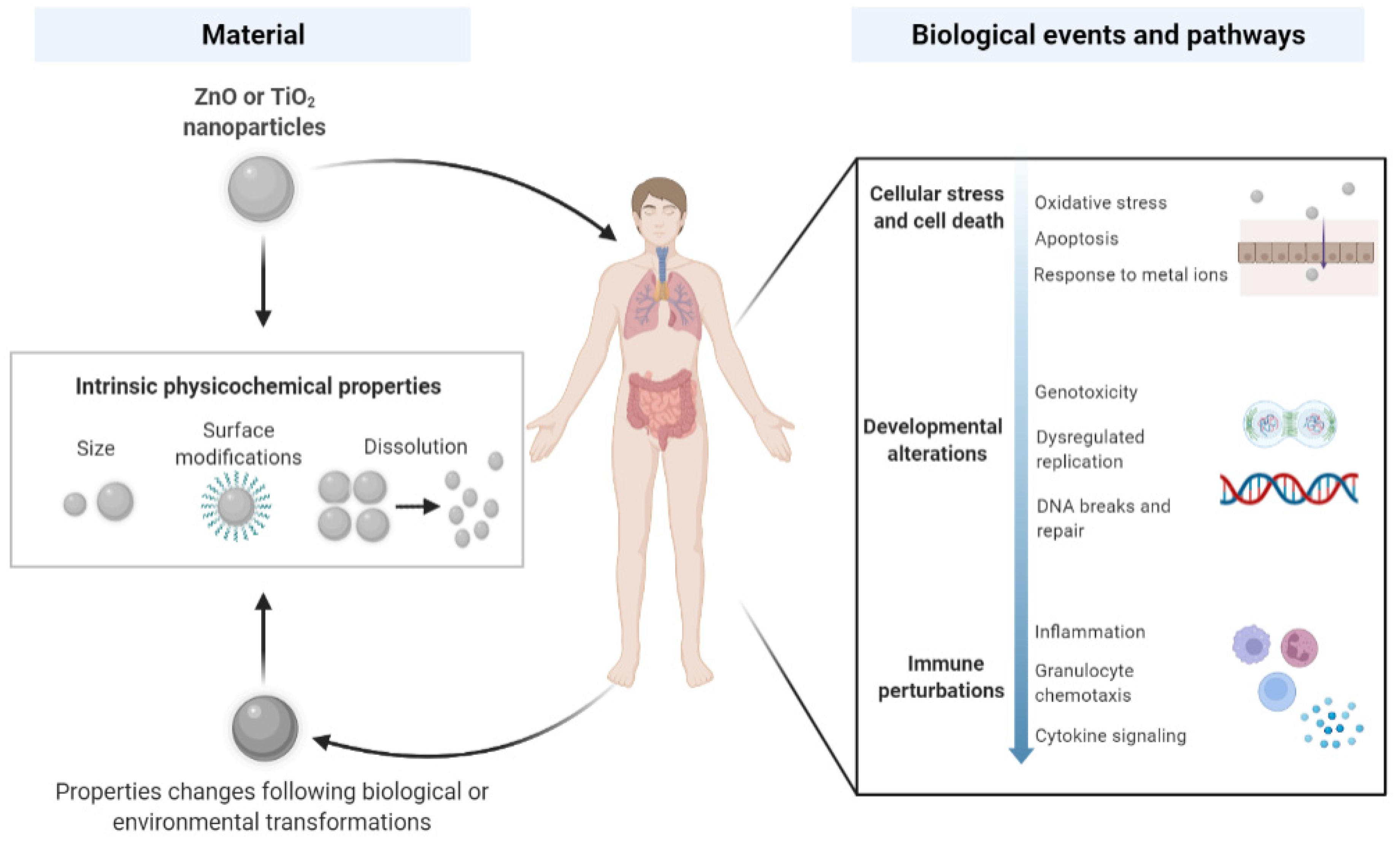 Nanomaterials 12 01247 g001 Nanomaterials 12 01247 g001