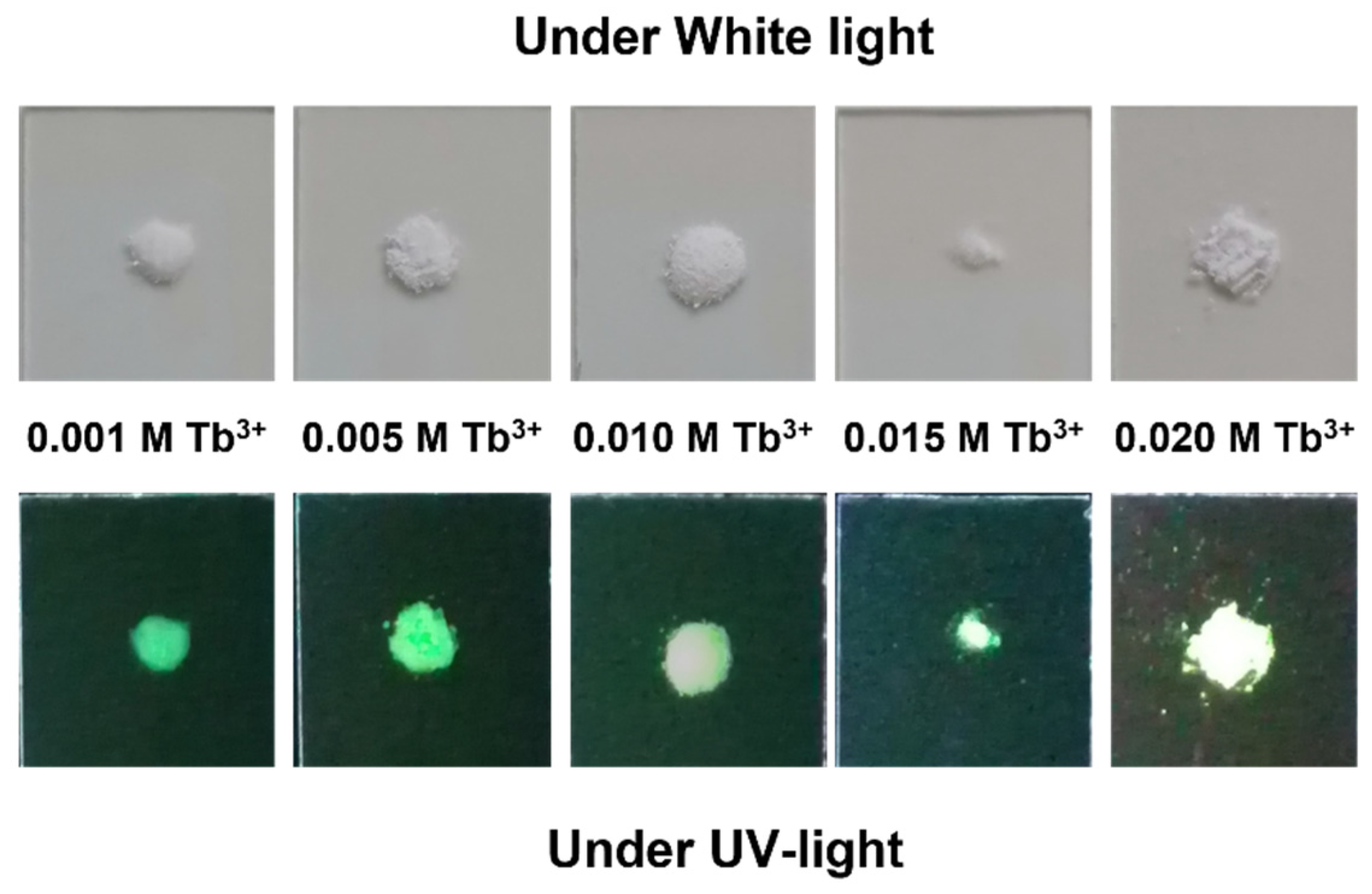 Nanomaterials 12 01257 g006