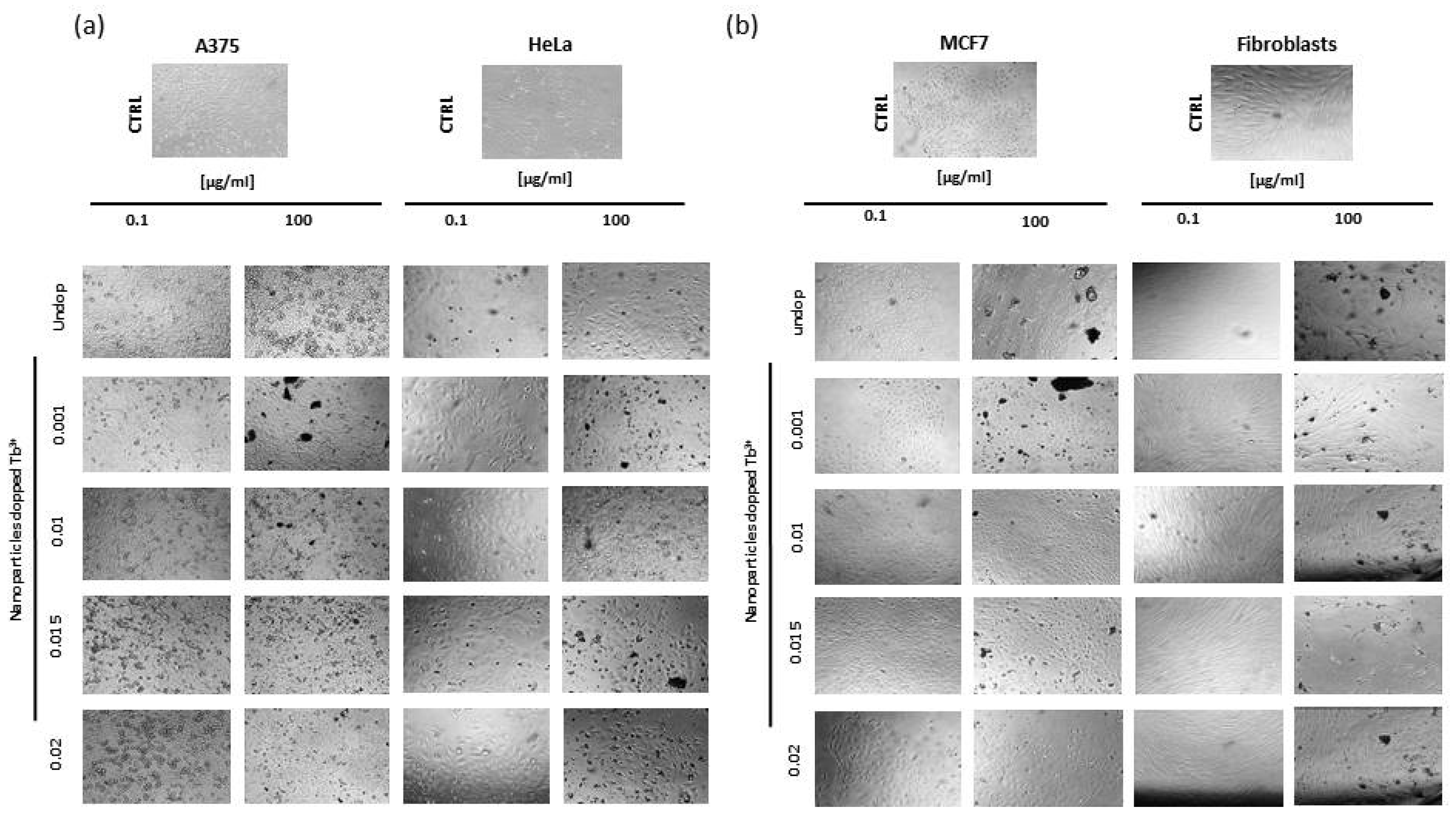 Nanomaterials 12 01257 g009