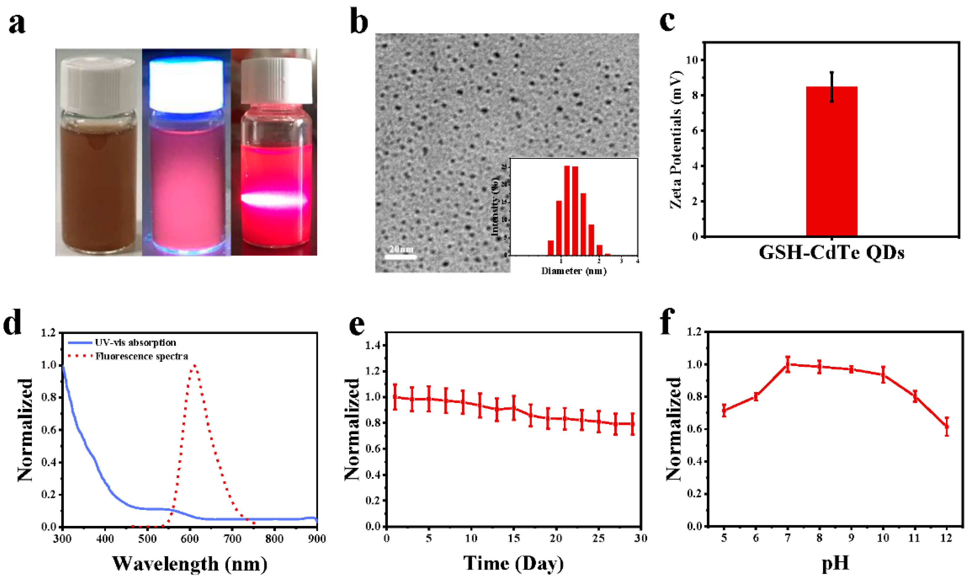 Nanomaterials 12 01262 g002 550