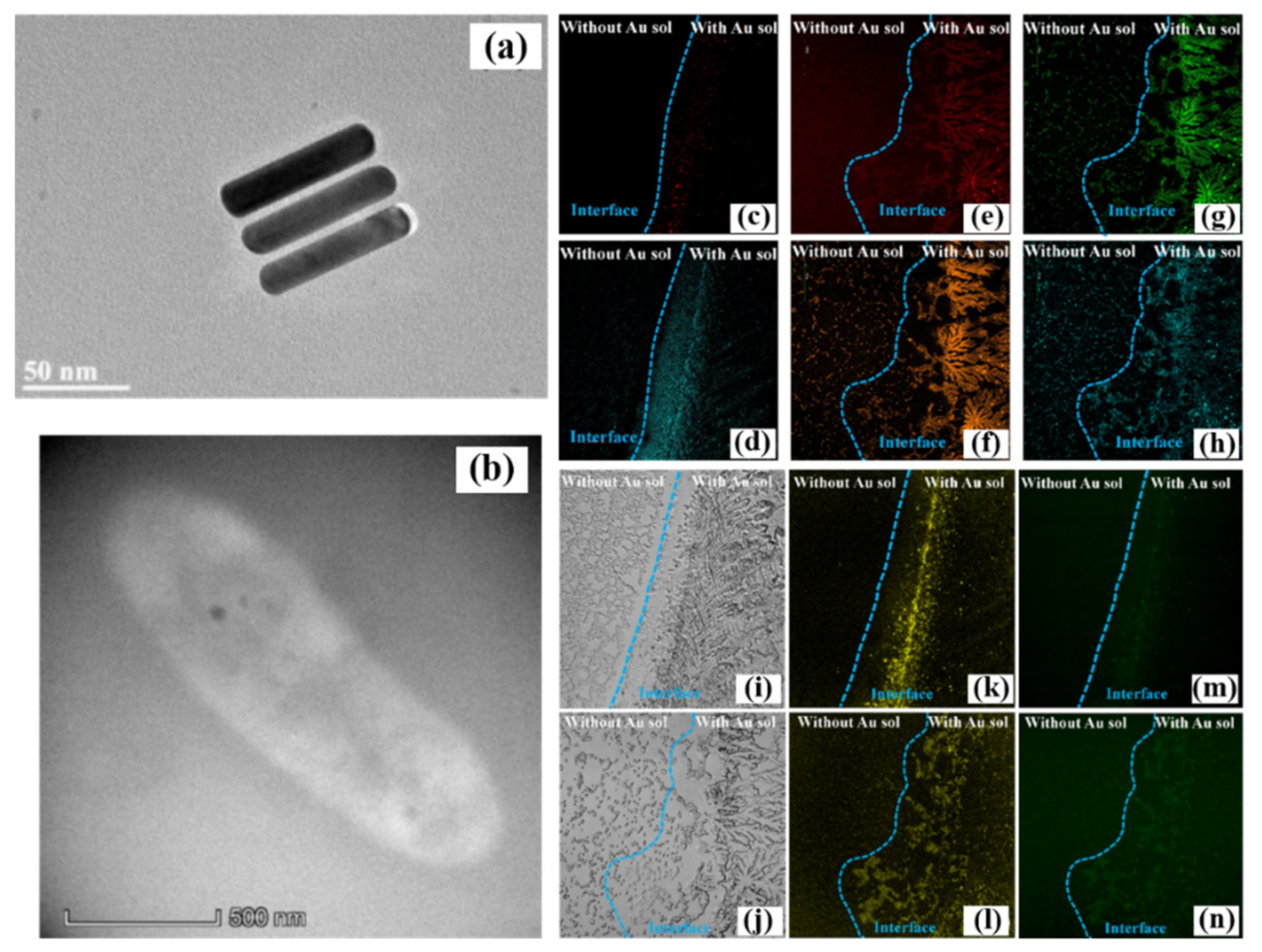 Nanomaterials 12 01273 g005